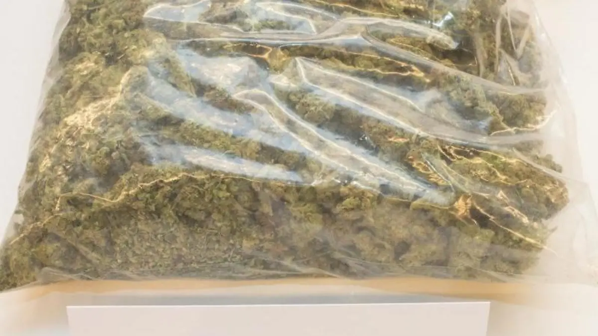 340 Gramm Marihuana fanden Polizisten in einem Transporter bei Eisenberg. Foto: D. Bockwoldt/Archiv
