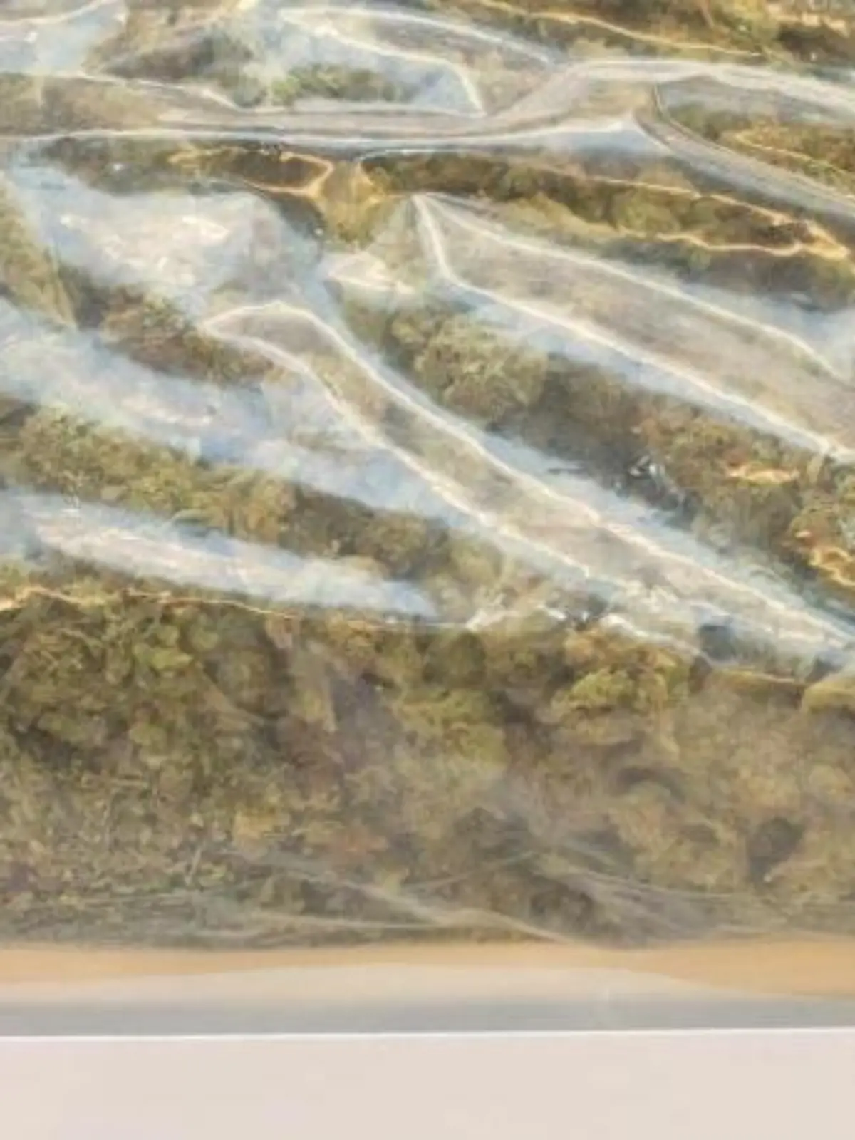 340 Gramm Marihuana fanden Polizisten in einem Transporter bei Eisenberg. Foto: D. Bockwoldt/Archiv