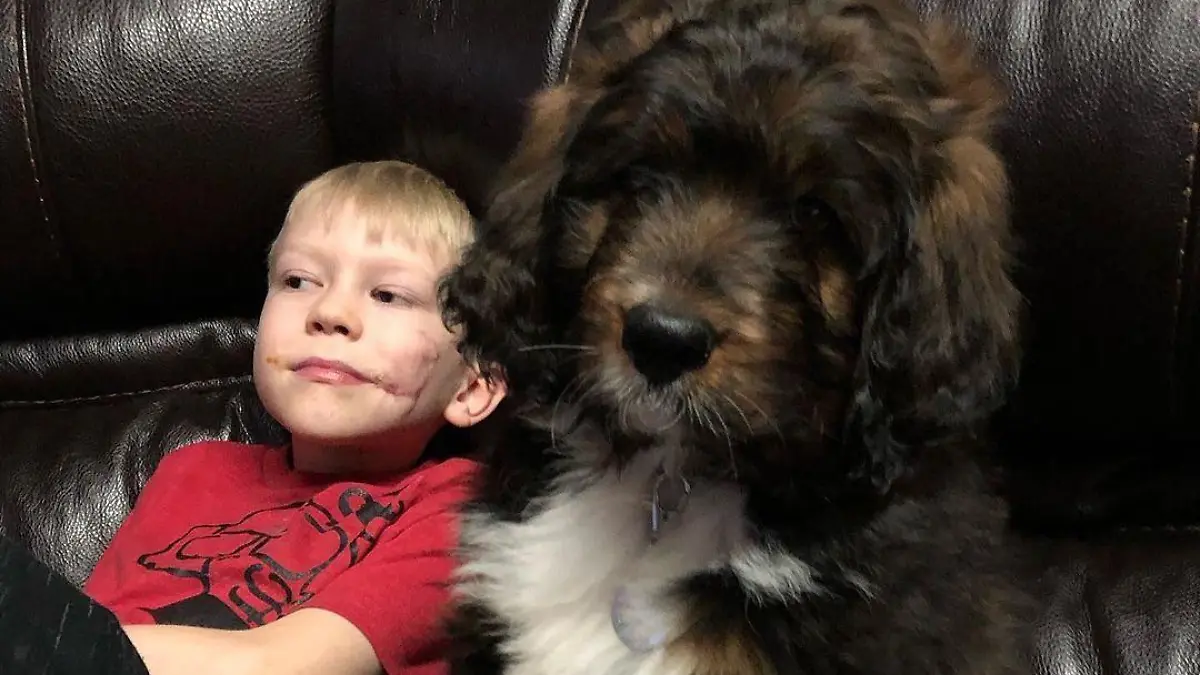 Bridger mit einem Hund auf der Couch