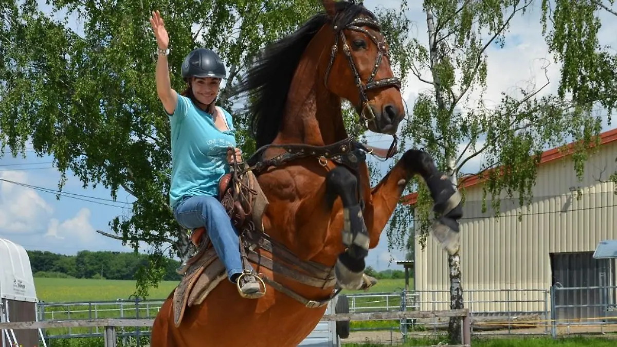 Vorschau1 - VOX-DOCMA TV-CHRISTINA DEL FRATE-LEISTEN - Diana Eichhorn auf Film-Pferd Samir der schon in DIE PPSTIN und DIE DREI MUSKETIERE mitspielte