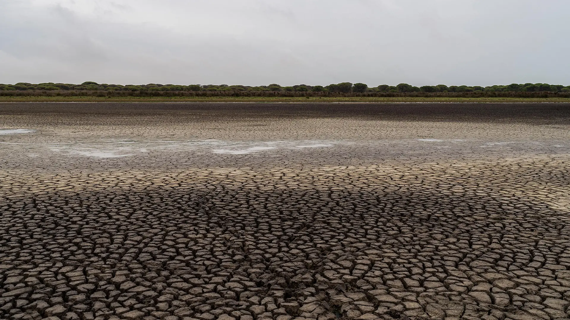 Cracks in the mud are seen in a dry wetland in Doñana natural park, southwest Spain, Wednesday, Oct. 19, 2022. (AP Photo/Bernat Armangue)