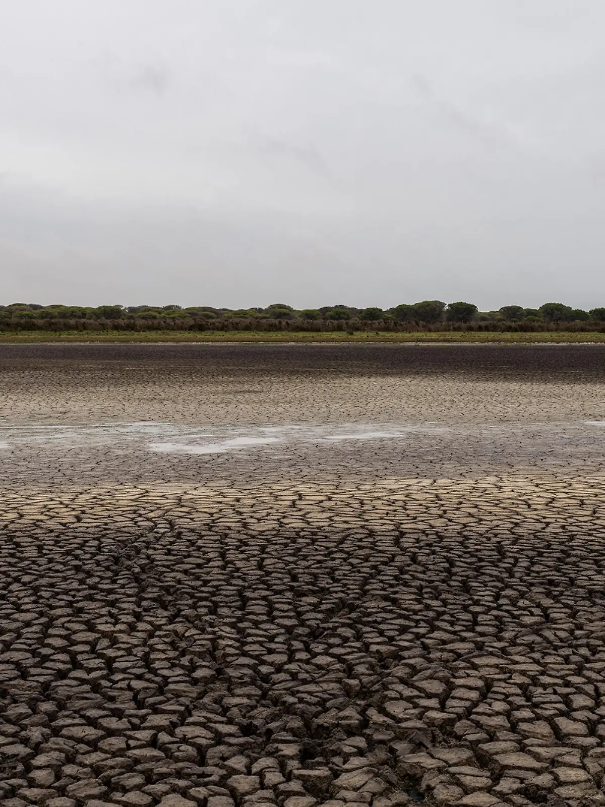 Cracks in the mud are seen in a dry wetland in Doñana natural park, southwest Spain, Wednesday, Oct. 19, 2022. (AP Photo/Bernat Armangue)
