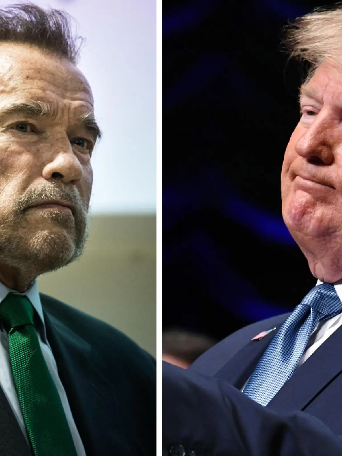 "Er ist gestorben", behauptet Donald Trump über Arnold Schwarzenegger. Doch dem geht's gut. Was steckt hinter den Fake News?