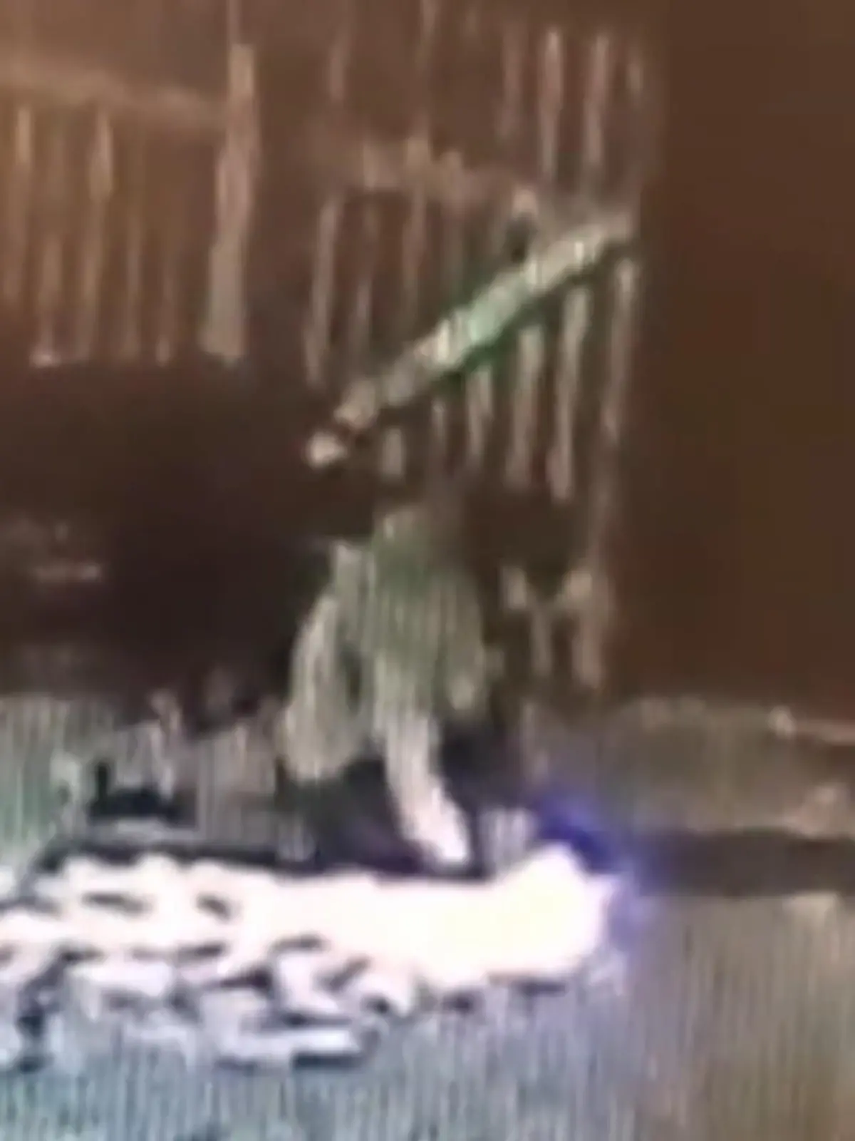 In Russland hat ein Bauer einen Wolf mit bloßen Händen erwürgt, nachdem das Tier ihn angegriffen und seine beiden Hunde totgebissen hatte. Er befürchtete, der Wolf würde auch sein Vieh attackieren, berichtet das Portal "Ari News". Ohne Zeit zu verlieren, nahm er den Kampf mit dem Tier auf, wie im Video zu sehen ist.