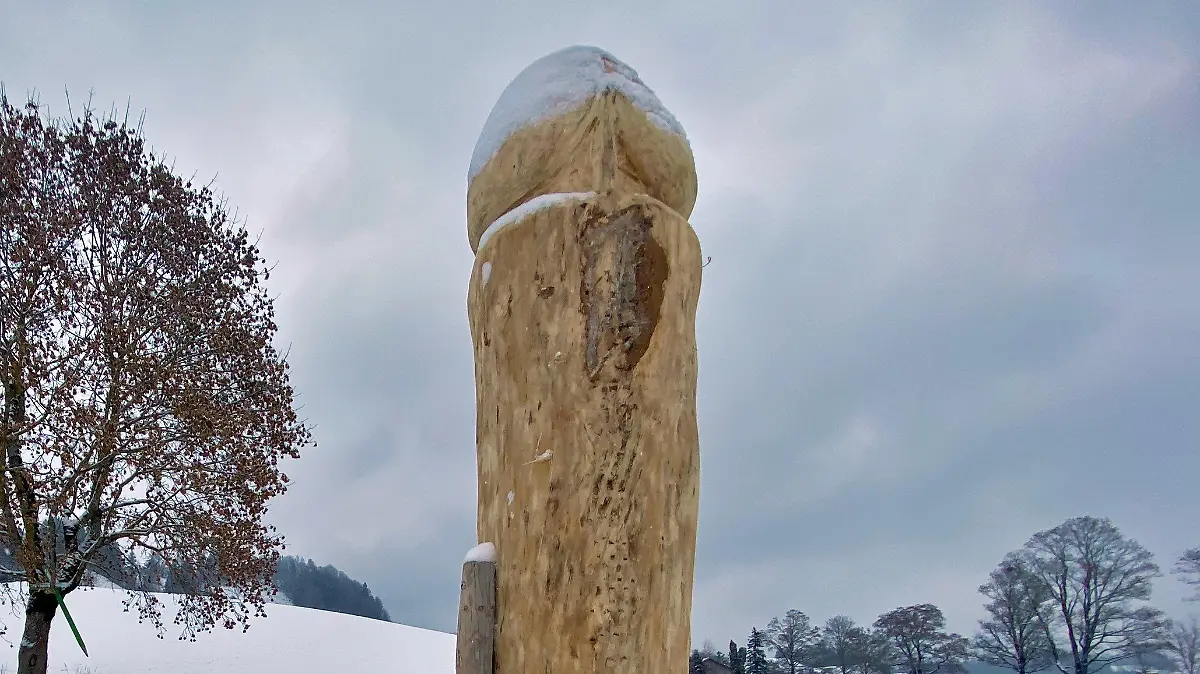 06.01.2021, Bayern, Ebratshofen: Schon wieder ein Holzpenis im Allgäu: Wer die Skulptur aufgestellt hat, war nach Angaben der Polizei zunächst unklar. Der über zwei Meter hohe Holzpenis steht etwa zehn Meter entfernt von einer Straße. Spuren im Schnee deuten darauf hin, dass die Skulptur mit einem Anhänger aufgestellt wurde. Foto: Davor Knappmeyer/Liss/dpa +++ dpa-Bildfunk +++