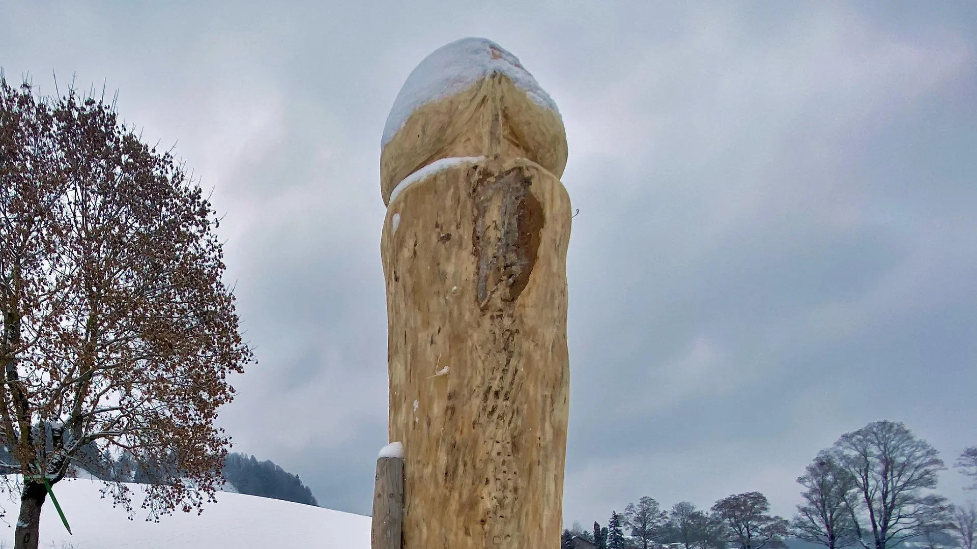 06.01.2021, Bayern, Ebratshofen: Schon wieder ein Holzpenis im Allgäu: Wer die Skulptur aufgestellt hat, war nach Angaben der Polizei zunächst unklar. Der über zwei Meter hohe Holzpenis steht etwa zehn Meter entfernt von einer Straße. Spuren im Schnee deuten darauf hin, dass die Skulptur mit einem Anhänger aufgestellt wurde. Foto: Davor Knappmeyer/Liss/dpa +++ dpa-Bildfunk +++