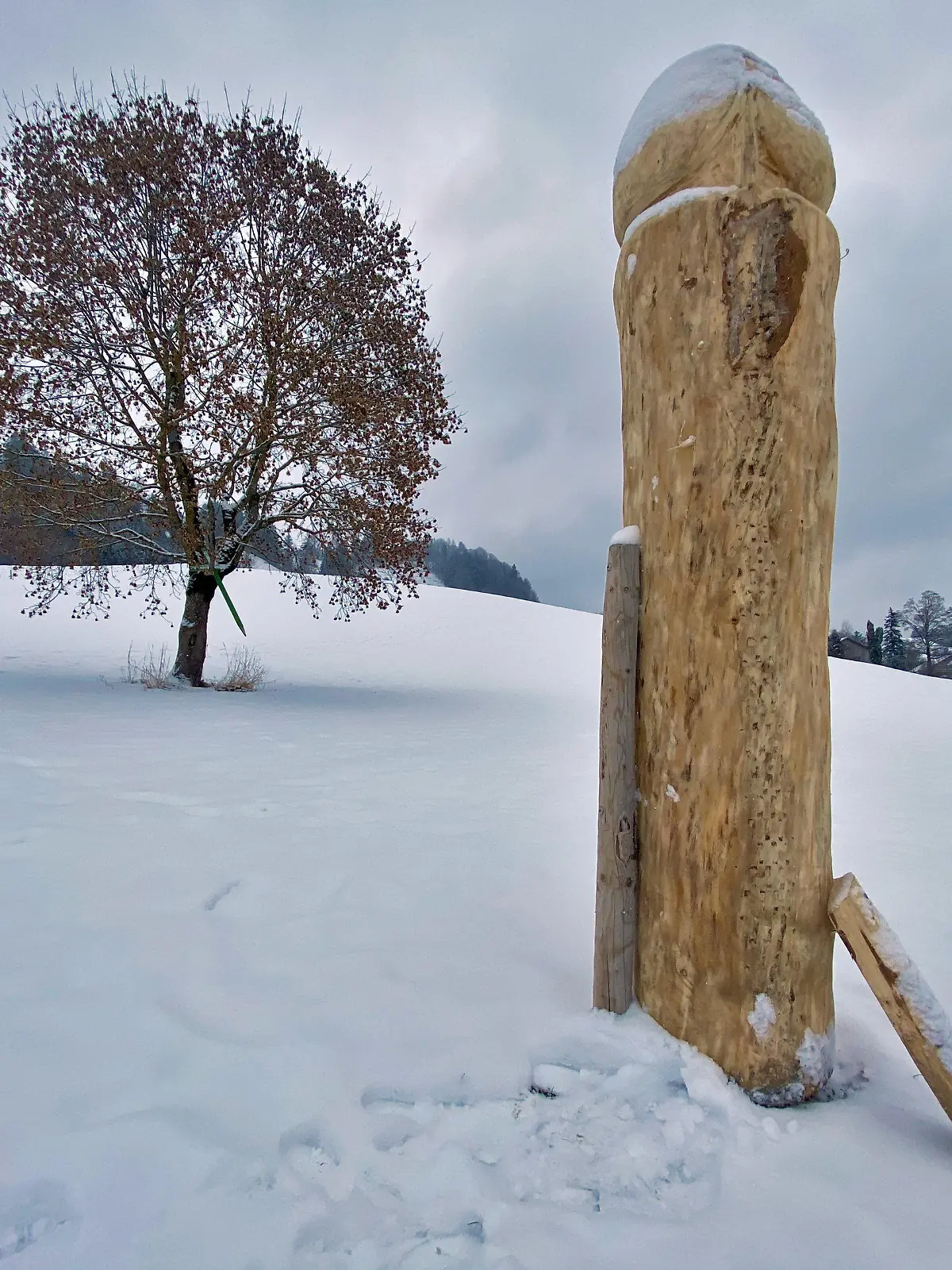 06.01.2021, Bayern, Ebratshofen: Schon wieder ein Holzpenis im Allgäu: Wer die Skulptur aufgestellt hat, war nach Angaben der Polizei zunächst unklar. Der über zwei Meter hohe Holzpenis steht etwa zehn Meter entfernt von einer Straße. Spuren im Schnee deuten darauf hin, dass die Skulptur mit einem Anhänger aufgestellt wurde. Foto: Davor Knappmeyer/Liss/dpa +++ dpa-Bildfunk +++