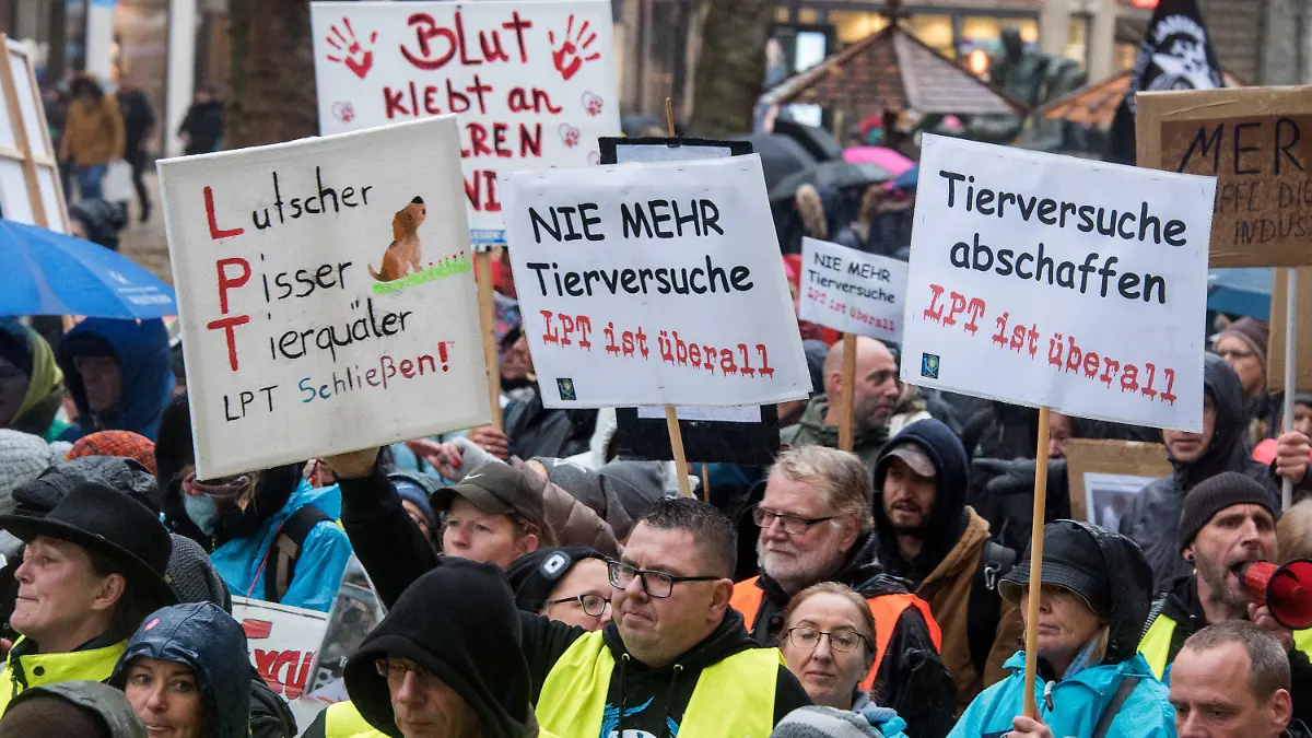 16.11.2019, Hamburg: Teilnehmer einer Demonstration gegen Tierversuche ziehen in Hamburg durch die Innenstadt und halten Schilder mit der Aufschrift "Lutscher, Pisser, Tierquäler. LPT schließen" (l-r), "Nie mehr Tierversuche. LPT ist überall" und "Tierversuche abschaffen. LPT ist überall". Rund 13 000 Menschen haben nach Polizeiangaben in Hamburg für ein Ende von Tierversuchen und die Schließung von Tierlaboren demonstriert. (zu dpa "Tierschützer demonstrieren in Hamburg gegen umstrittenes Labor") Foto: Daniel Bockwoldt/dpa +++ dpa-Bildfunk +++