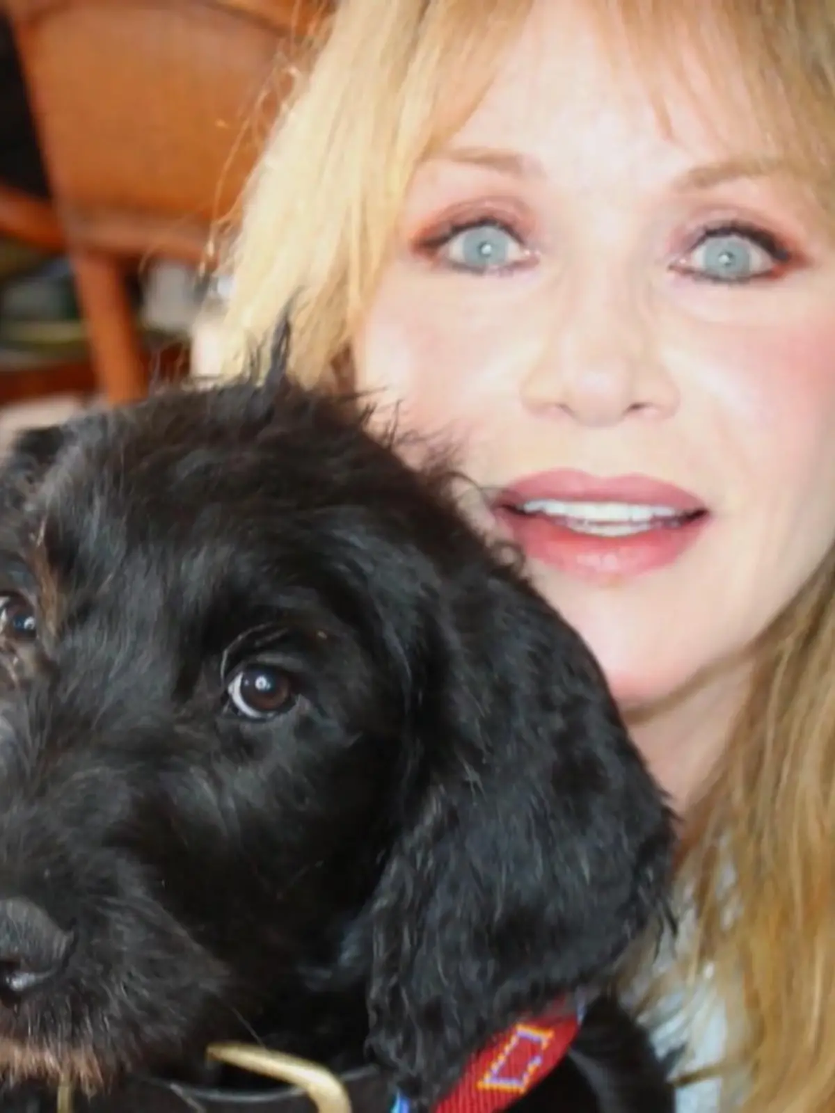 Bild zu: "Ex-Bond-Girl Tanya Roberts nun doch tot"