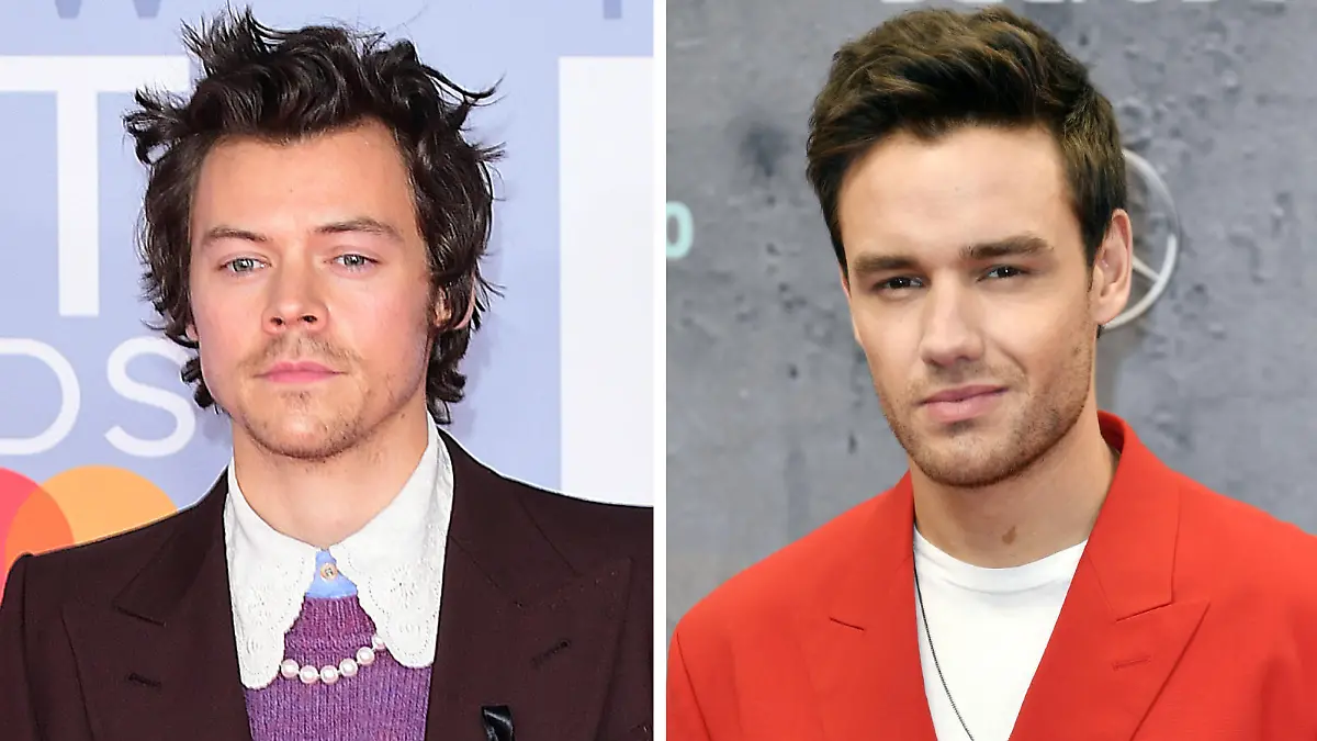 Harry Styles und Liam Payne