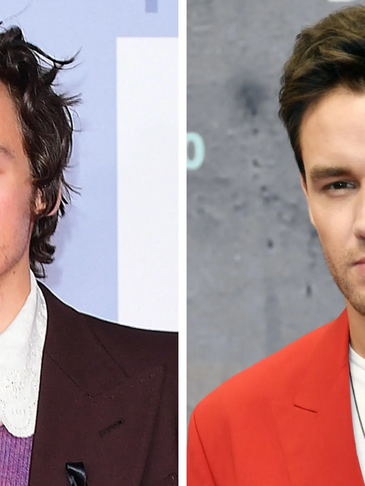 Harry Styles und Liam Payne