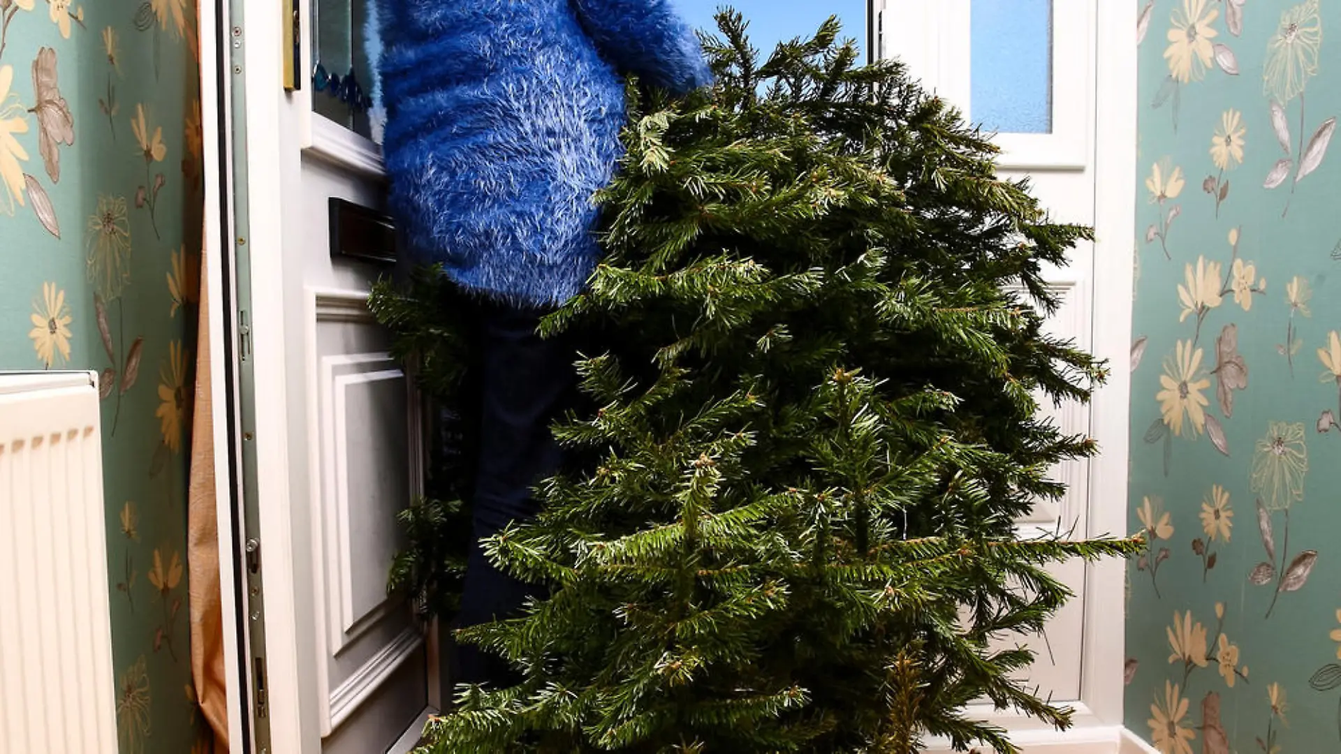 Recyceln statt entsorgen: Tannenbäume auch nach Weihnachten nutzen
