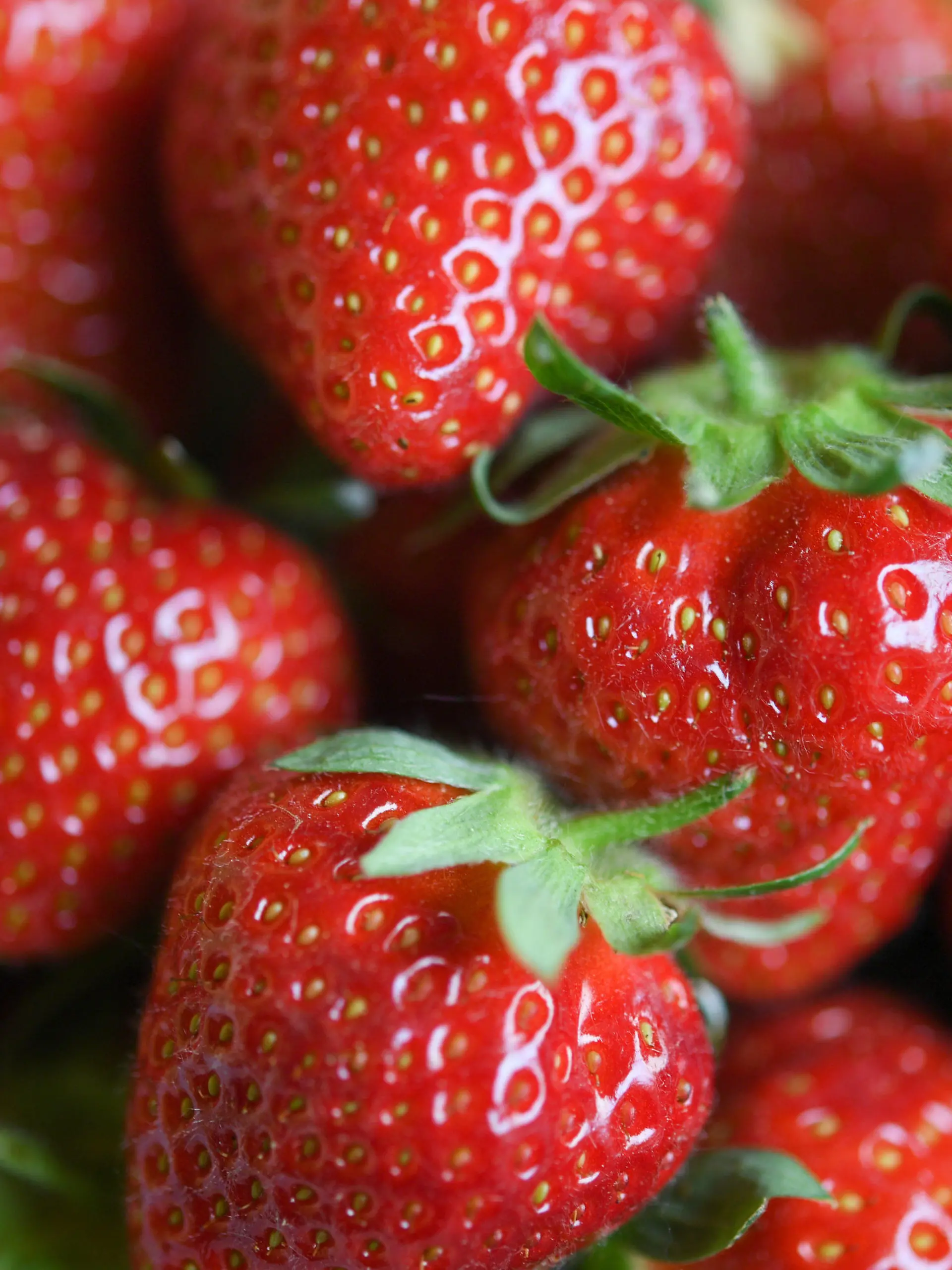 Erdbeeren liegen am 12.05.2016 auf dem Lindenhof Str?ll in Hofheim am Taunus (Hessen) am Rande der offiziellen Er?ffnung der hessischen Erdbeersaison in einer Schale. Erdbeeren z?hlen zu den beliebtesten Fr?chten. In Hessen werden sie in 160 Betrieben auf 860 Hektar angebaut. Foto: Arne Dedert/dpa +++(c) dpa - Bildfunk+++