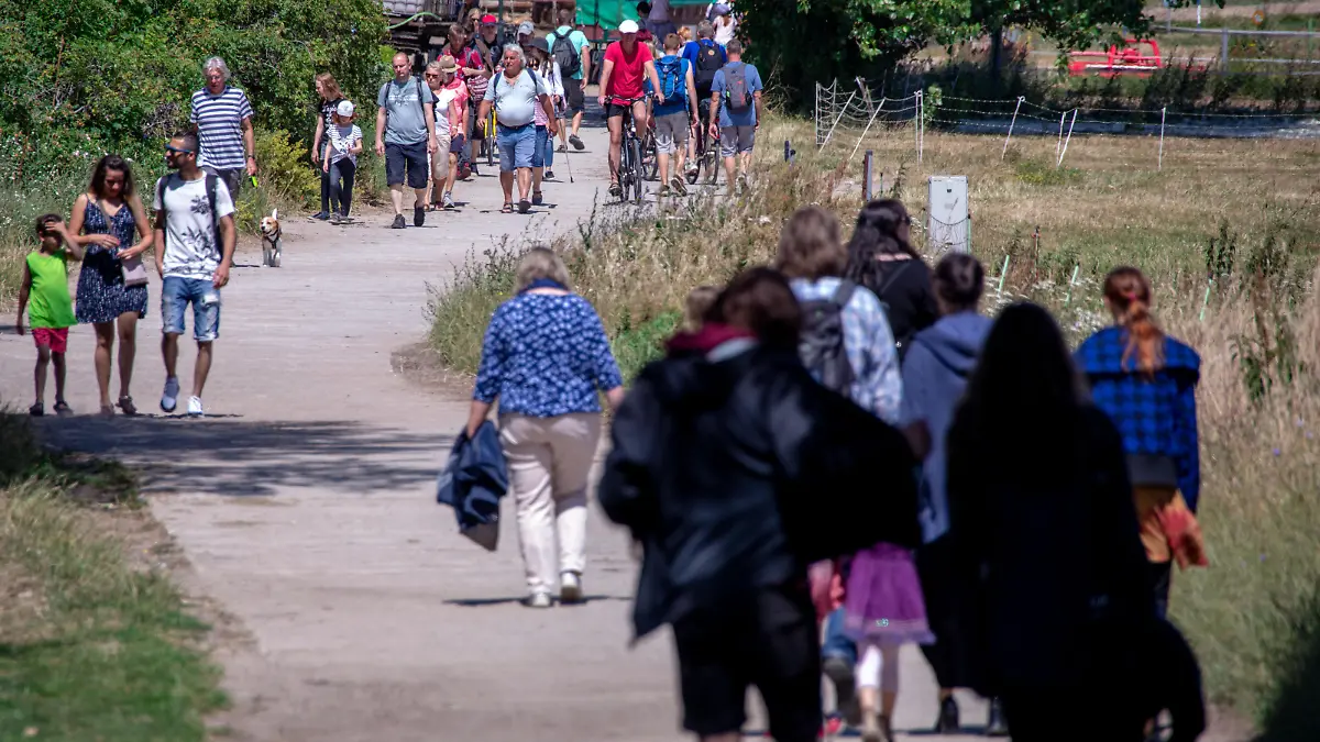 Urlauber gehen auf einem der Kutschenwege zum Leuchtturm auf der Ostseeinsel Hiddensee. Tausende Urlauber und Tagesgäste werden in den Sommermonaten täglich auf dem Eiland gezählt. Hiddensee ist weitgehend autofrei und Pferdegespanne ein viel genutztes Transportmittel. Hiddensee ist etwa 16,8 Kilometer lang, an der schmalsten Stelle etwa 250 Meter und an der breitesten etwa 3,7 Kilometer breit. Innerhalb des Nationalparks Vorpommersche Boddenlandschaft ist sie die größte Insel.