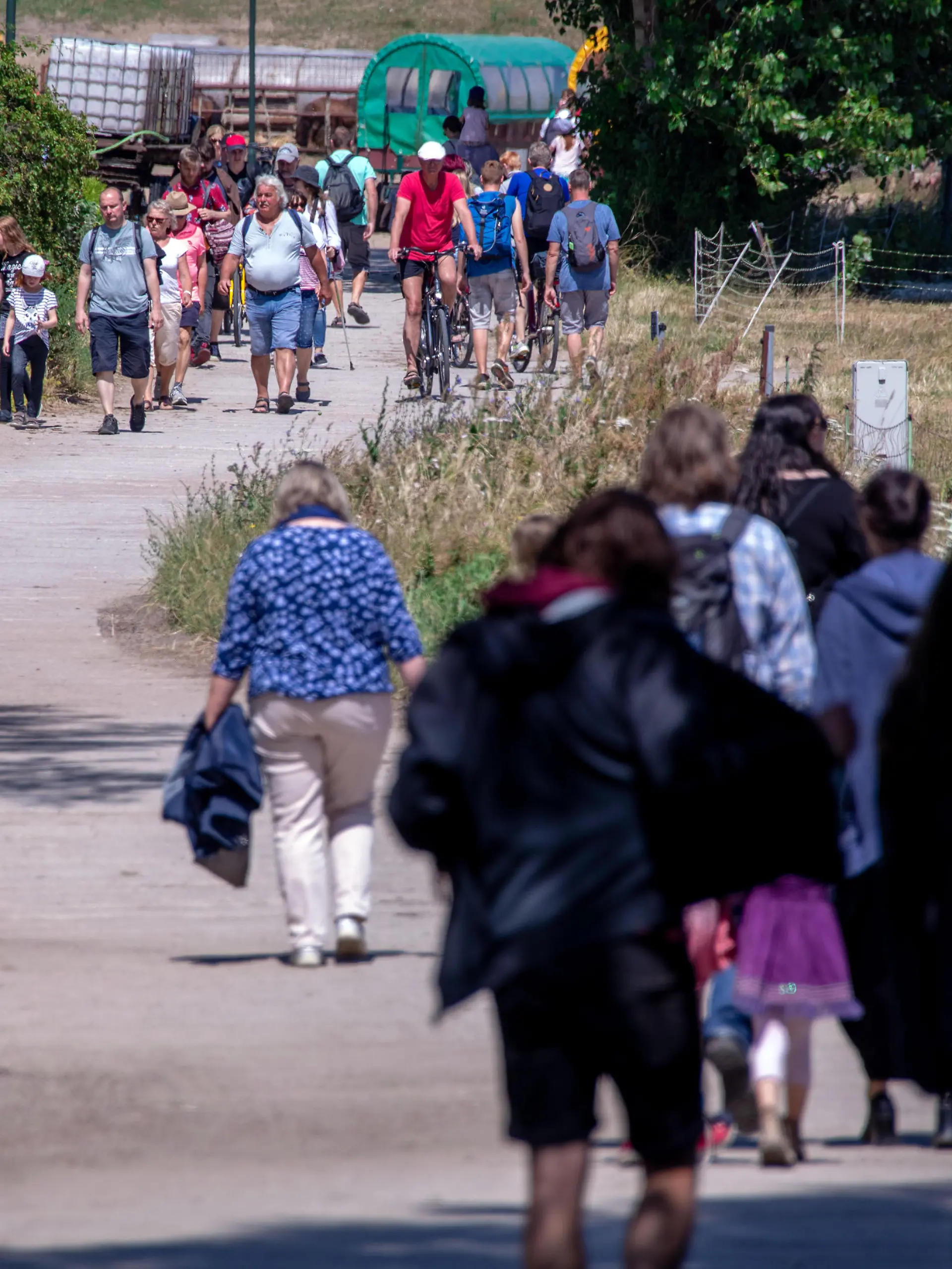 Urlauber gehen auf einem der Kutschenwege zum Leuchtturm auf der Ostseeinsel Hiddensee. Tausende Urlauber und Tagesgäste werden in den Sommermonaten täglich auf dem Eiland gezählt. Hiddensee ist weitgehend autofrei und Pferdegespanne ein viel genutztes Transportmittel. Hiddensee ist etwa 16,8 Kilometer lang, an der schmalsten Stelle etwa 250 Meter und an der breitesten etwa 3,7 Kilometer breit. Innerhalb des Nationalparks Vorpommersche Boddenlandschaft ist sie die größte Insel.