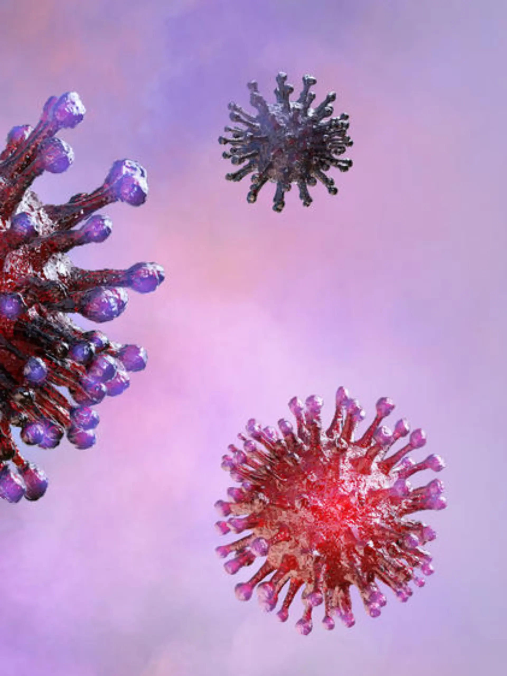 Die wichtigsten Fakten zur Coronavirus-Mutation