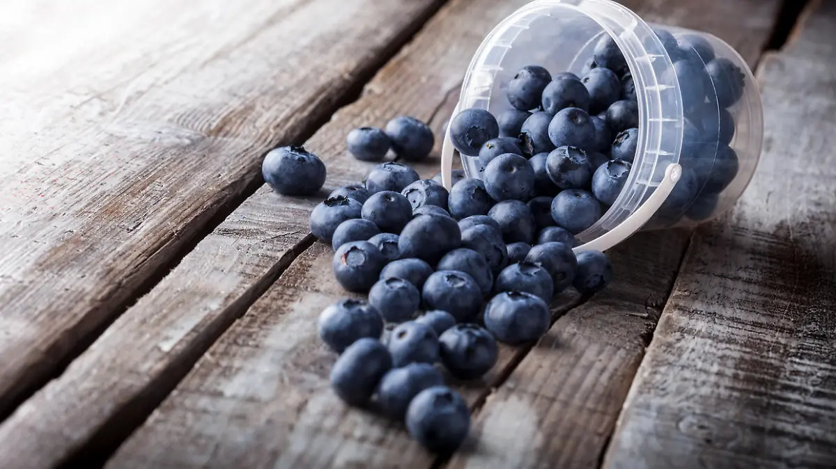 Blueberries fresh arrangement in plastic can and spilled on old white wooden table front view on bright light in studio