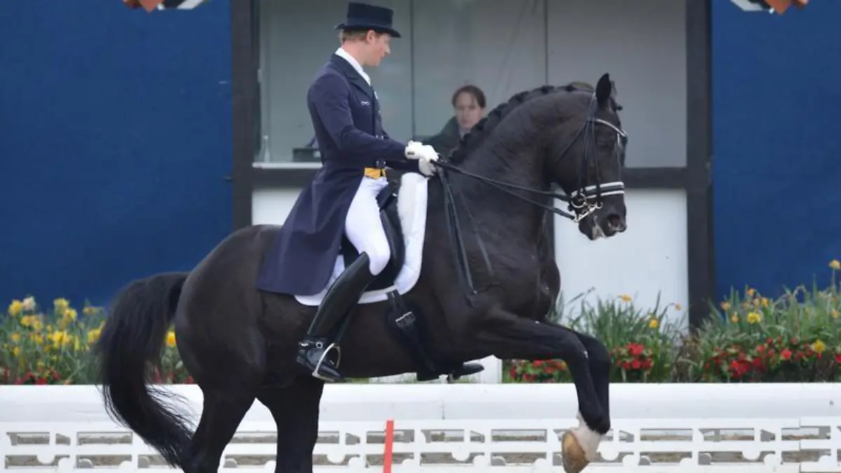 Wunderpferd Totilas und Dressurreiter Matthias Rath stehen wegen der umstrittenen Rollkur unter Beobachtung. Foto: Carmen Jaspersen