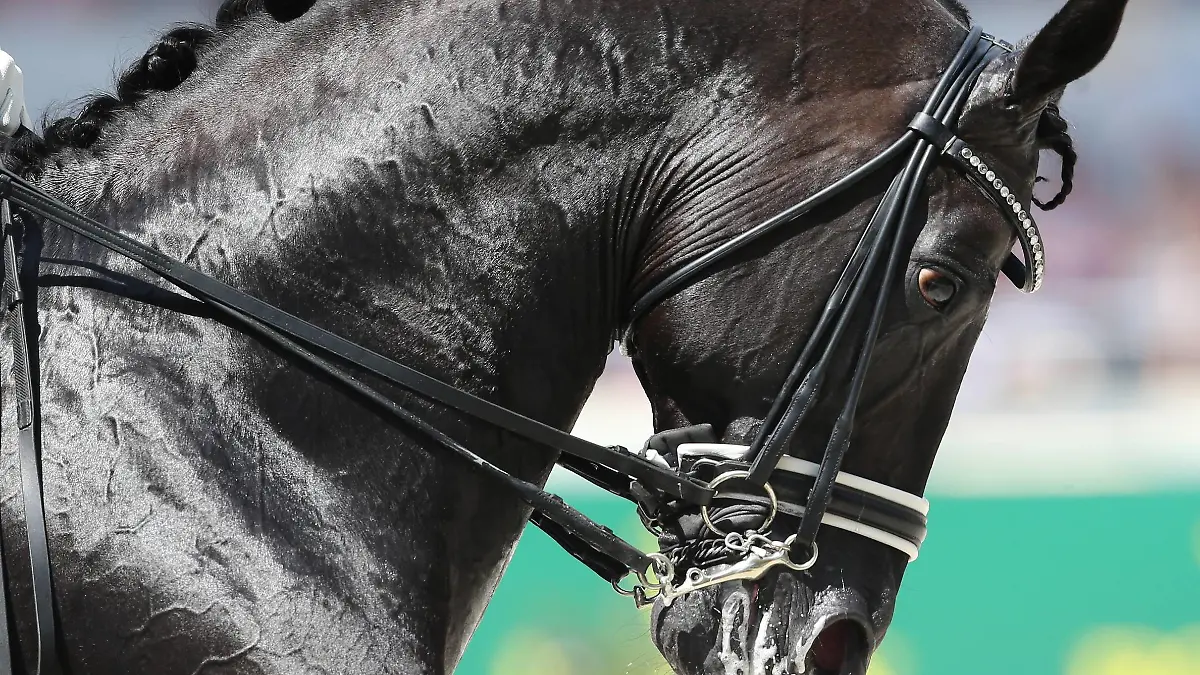 Aachen , CHIO Aachen 2014, Weltfest des Pferdesports,World Equestrian Festival CHIO Aachen 2014, 11-20.07.2014, Aachen, Megglepreis, Dressur, Grand Prix Special CDIO, 2.Qualifikation Einzelwertung, Second Individual Qualifying Competition, Totilas, Deutschland,