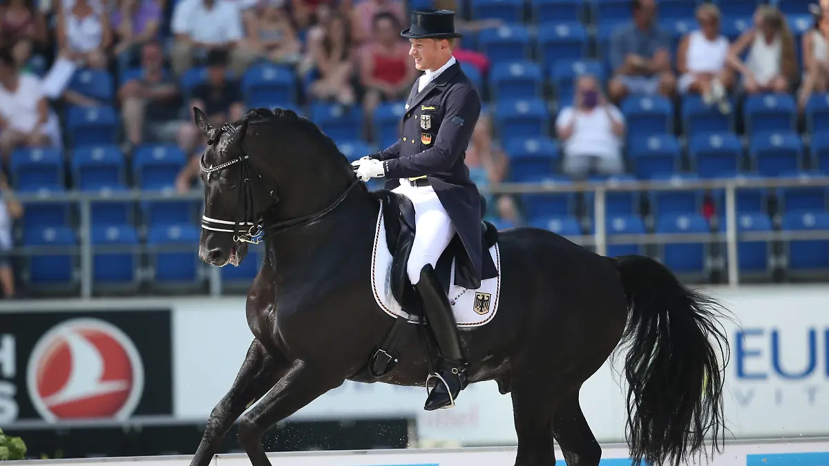 Totilas das berühmteste Dressur-Pferd der Welt