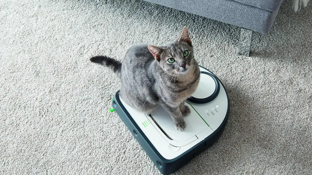 Vorwerk Kobold VR300