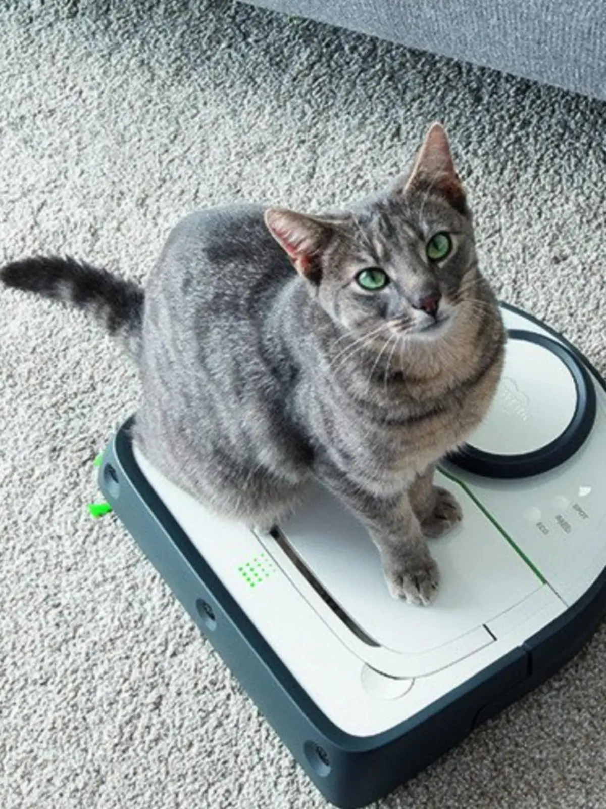 Vorwerk Kobold VR300