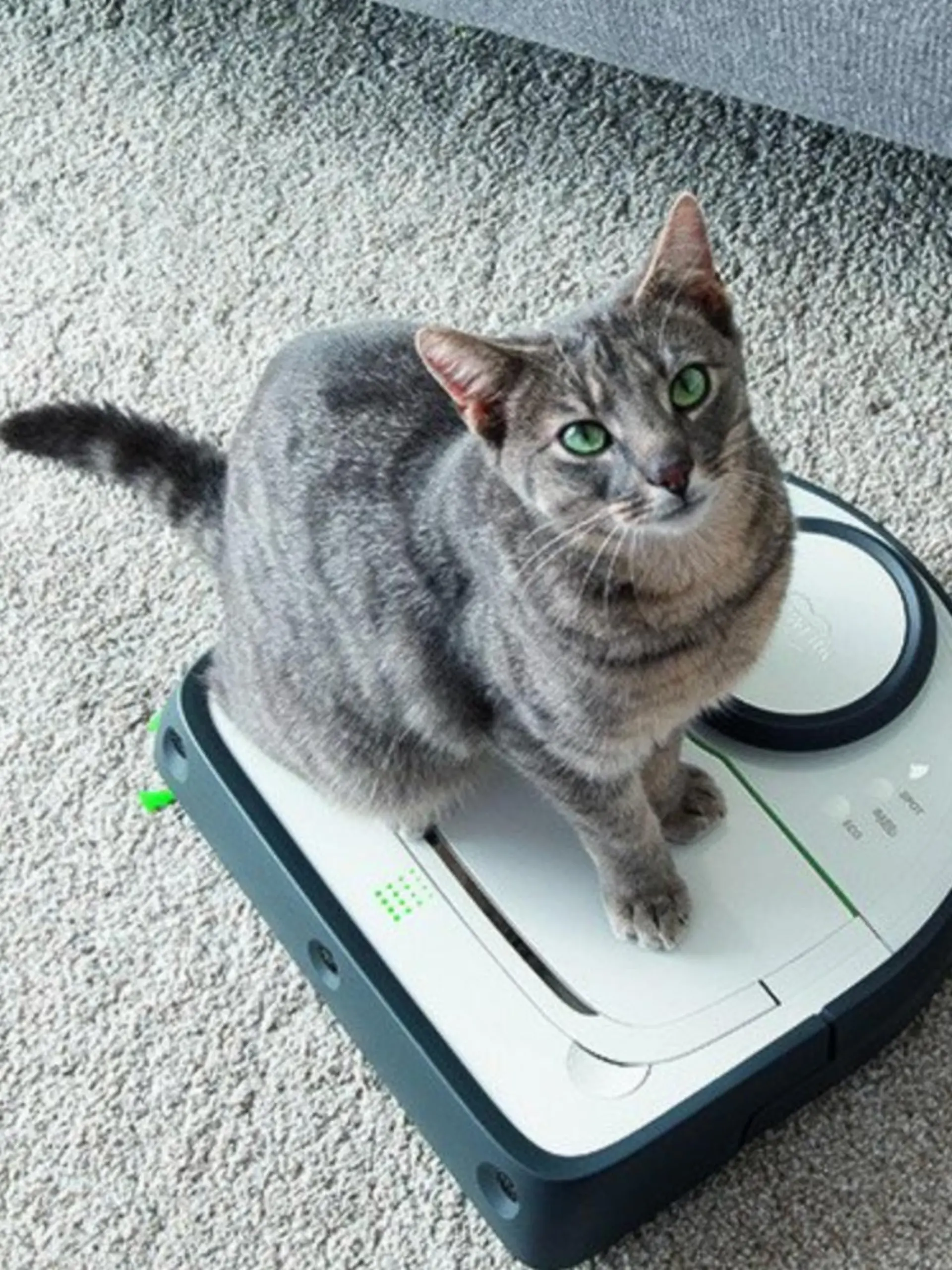 Vorwerk Kobold VR300