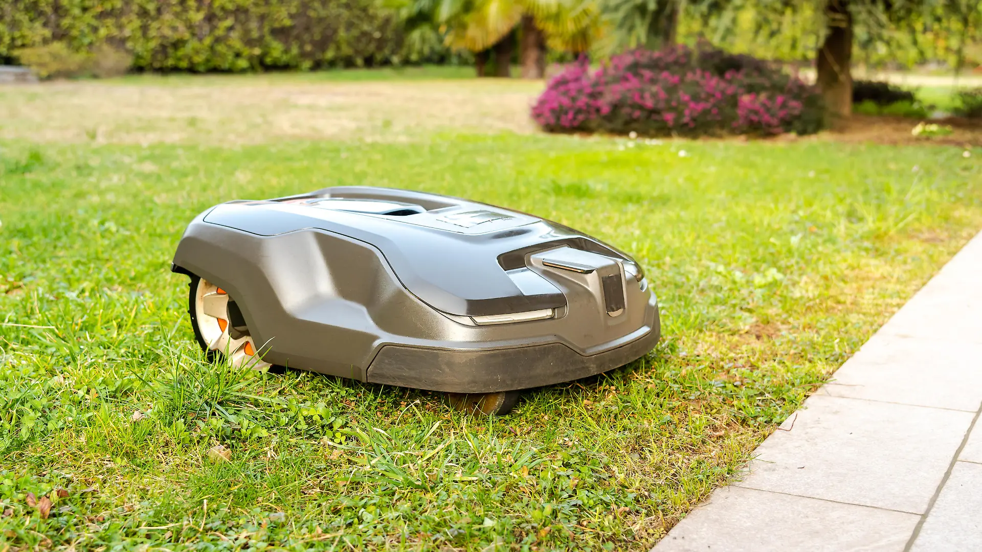 Robotic Lawn Mower cutting grass in the garden.