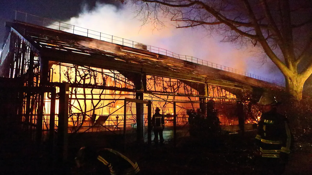 ARCHIV - 01.01.2020, Nordrhein-Westfalen, Krefeld: Feuerwehrleute stehen nach Löscharbeiten vor dem Affenhaus im Krefelder Zoo. (zu dpa: «Ein Seehund im Rhein und «Wilmas» Mops-Augen: Tierisches im Jahr 2020») Foto: Andreas Drabben/dpa +++ dpa-Bildfunk +++