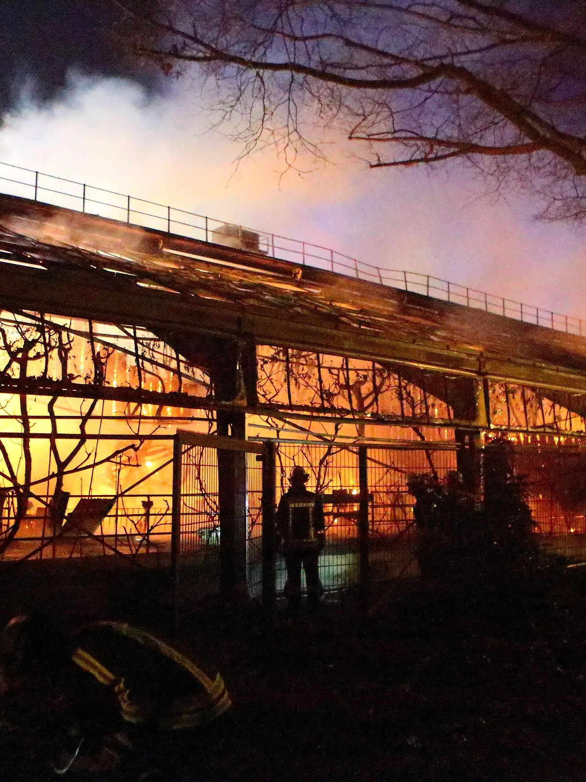 ARCHIV - 01.01.2020, Nordrhein-Westfalen, Krefeld: Feuerwehrleute stehen nach Löscharbeiten vor dem Affenhaus im Krefelder Zoo. (zu dpa: «Ein Seehund im Rhein und «Wilmas» Mops-Augen: Tierisches im Jahr 2020») Foto: Andreas Drabben/dpa +++ dpa-Bildfunk +++