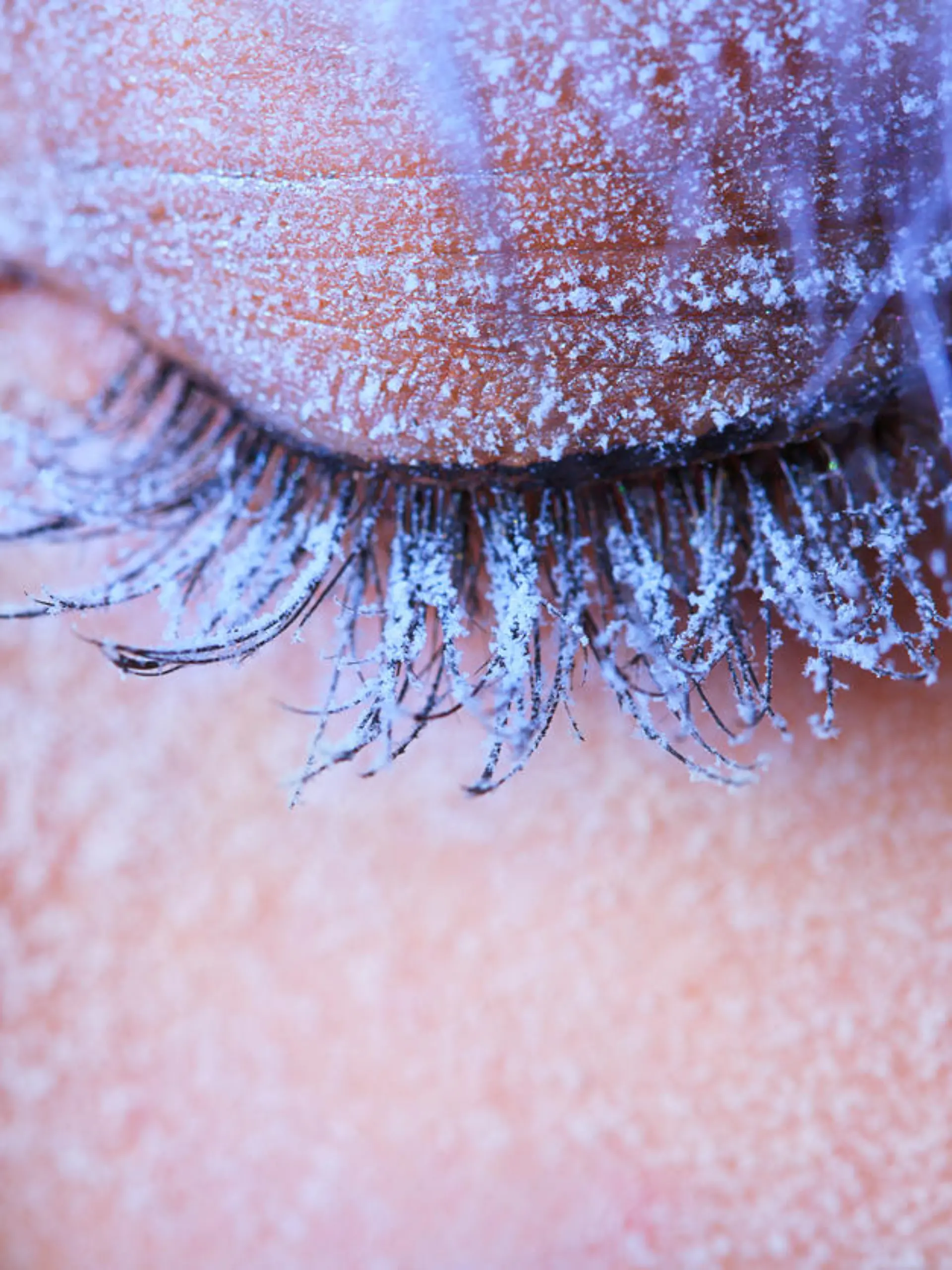 Icy Lashes.