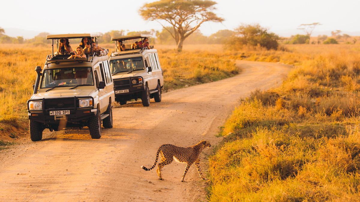 Was Kostet Ein Tag Den Serengeti Park Zu Erhalten Erfahrungen www.rtl.de