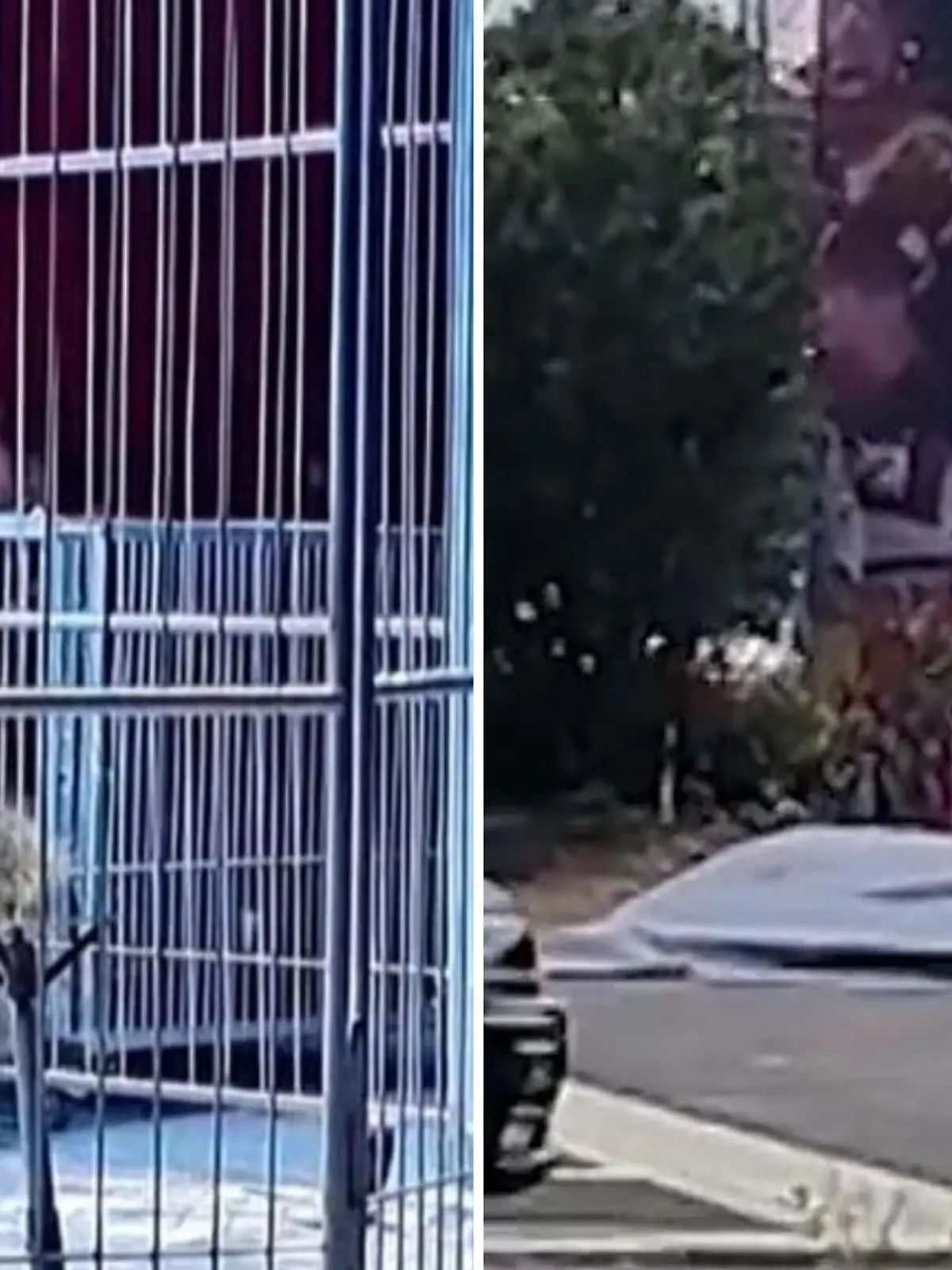 Dieser chinesische Zirkus wirbt mit wilden Tieren, die man hautnah erleben kann – mit SO einer Nähe hat aber vermutlich keiner der Gäste gerechnet. Während der Löwen-Show, in der zwei Dompteure gemeinsam mit den Tieren in einem Käfig stehen, bemerken die Tiere, dass ein Ausgang nicht richtig verschlossen ist – und büxen kurzerhand aus.