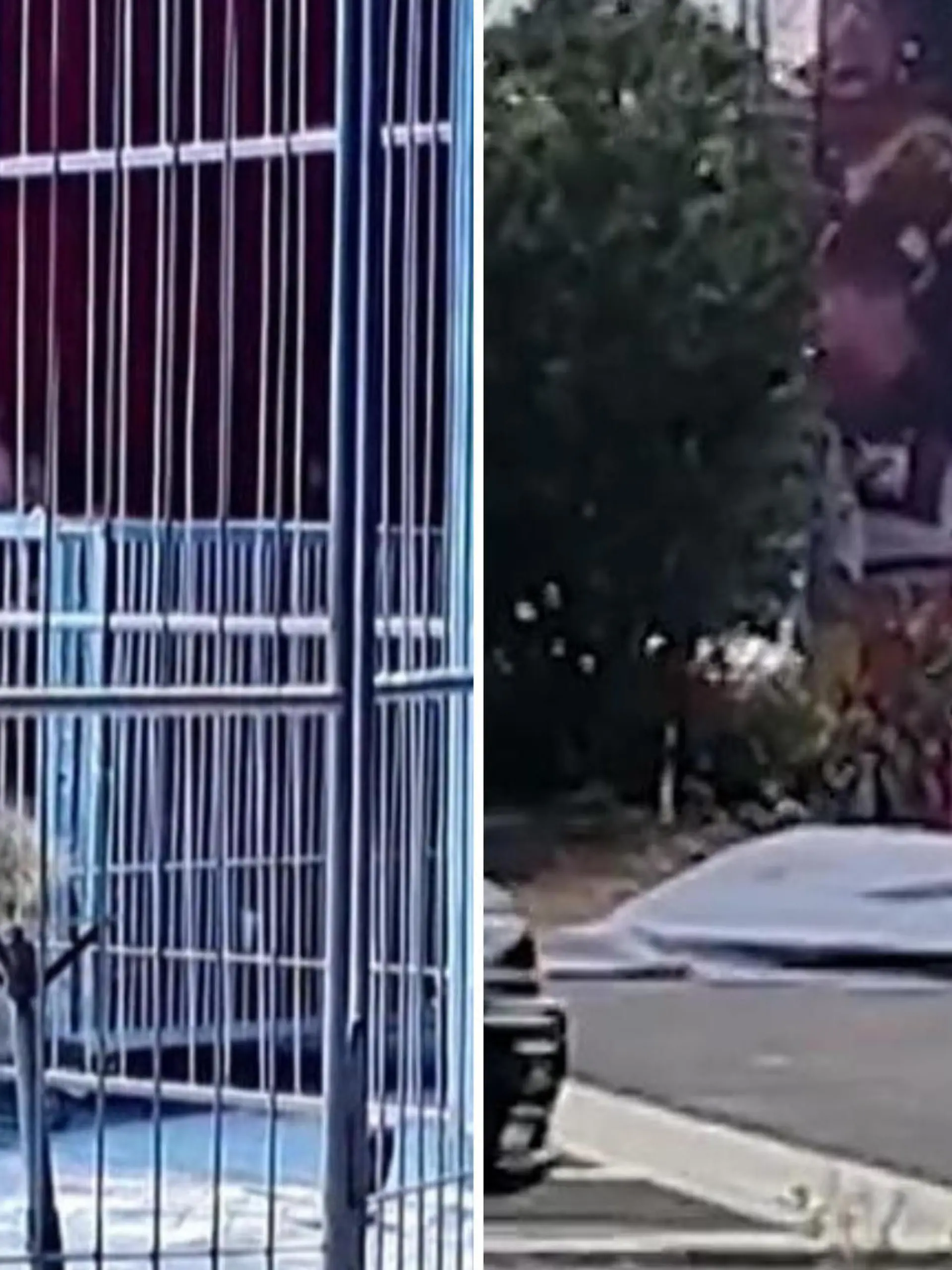 Dieser chinesische Zirkus wirbt mit wilden Tieren, die man hautnah erleben kann – mit SO einer Nähe hat aber vermutlich keiner der Gäste gerechnet. Während der Löwen-Show, in der zwei Dompteure gemeinsam mit den Tieren in einem Käfig stehen, bemerken die Tiere, dass ein Ausgang nicht richtig verschlossen ist – und büxen kurzerhand aus.