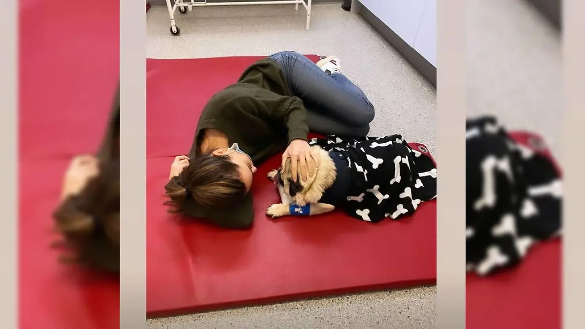 Nach der OP ihres Mops', postet Mandy dieses Foto bei Instagram.