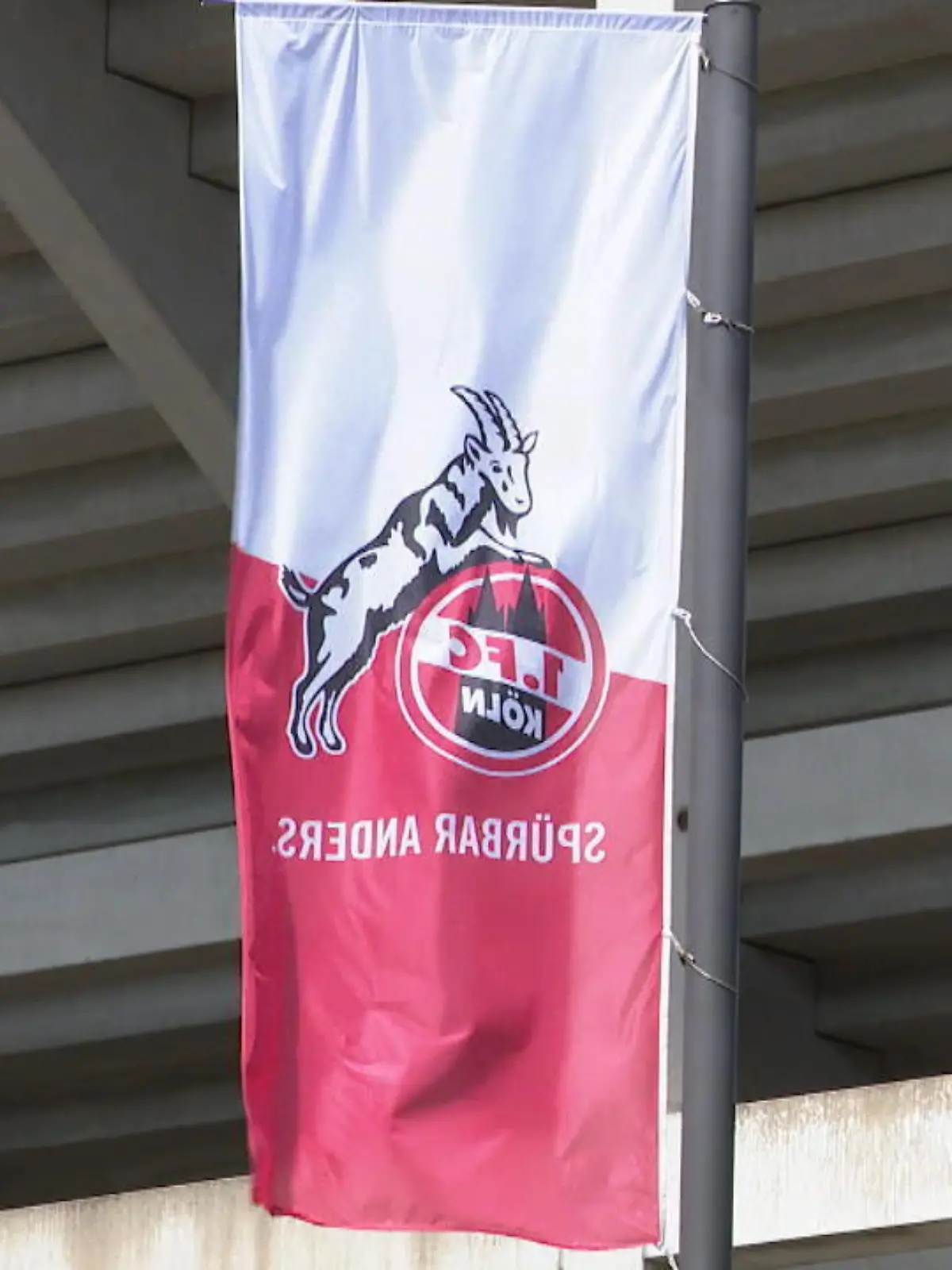 Bild zu: "Maskenpflicht in Mixed Zone"