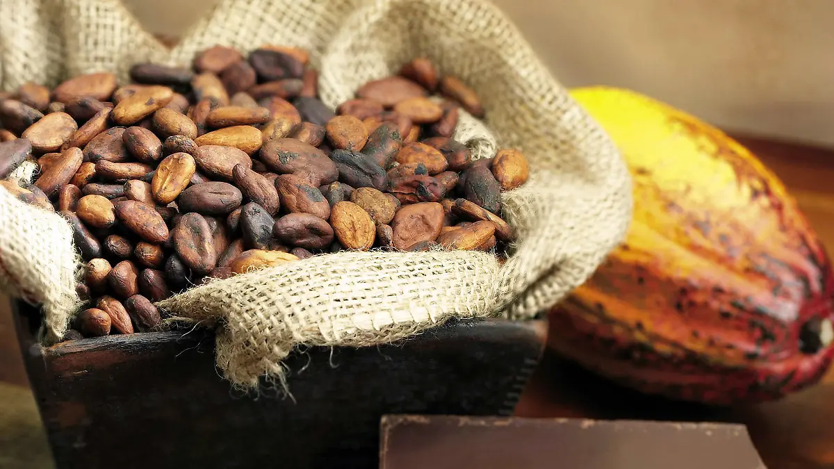 Einer aktuellen Studie zufolge besteht ein direkter Zusammenhang zwischen dem in Kakao enthaltenen Flavonoid (-)-Epicatechin und einem gesunden Herz-Kreislauf-System. Damit konnte erstmals einem konkreten Kakaowirkstoff eine positive Wirkung auf das Gefäßsystem zugeordnet werden. Foto: Mars Incorporated. Weiterer Text über ots und www.presseportal.de . Die Verwendung dieses Bildes ist für redaktionelle Zwecke honorarfrei. Abdruck bitte unter Quellenangabe: "obs/Masterfoods GmbH" +++ +++