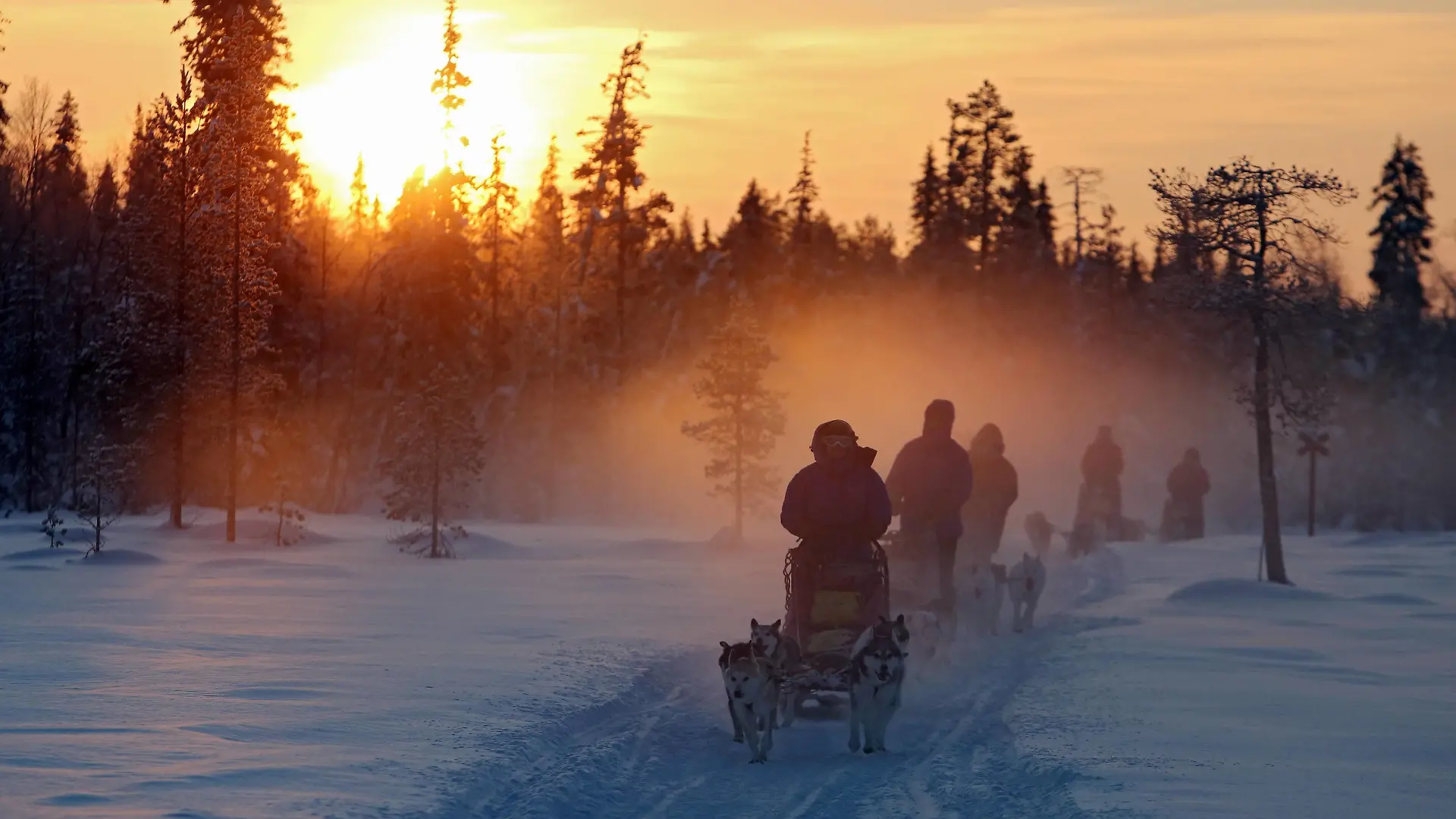 19.01.2016, Aekaeskero, Lappland, Finnland - Menschen fahren bei Sonnenuntergang mit Hundeschlitten durch die unberuehrte Natur. 00S160119D175.JPG MODEL RELEASE: YES, PROPERTY RELEASE: NO MR: Y
19 01 2016 Aekaeskero Lapland Finland People drive at Sunset with Sled dogs through the pristine Nature JPG Model Release Yes Property Release No Mr y