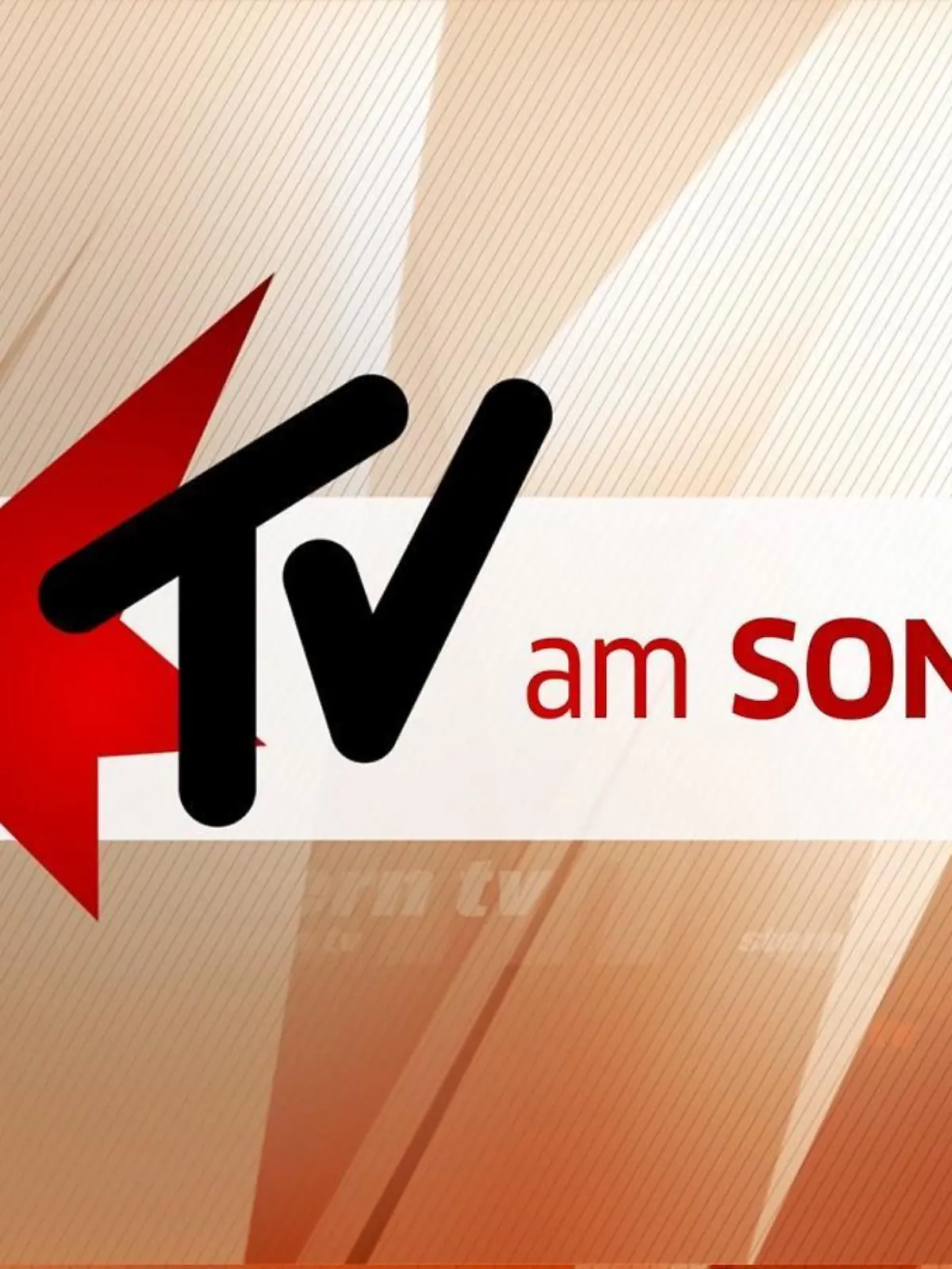 Logo Stern TV am Sonntag