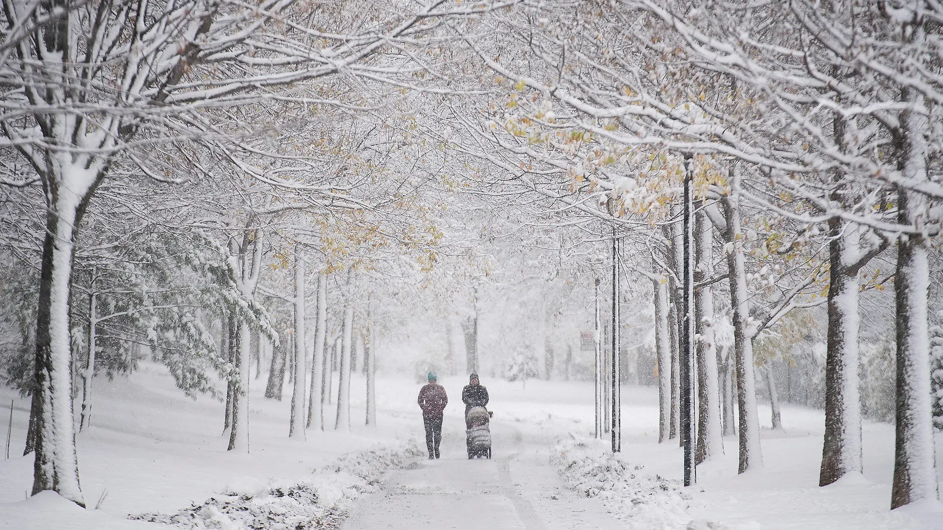 16.11.2022, Kanada, Montreal: Menschen gehen nach dem ersten Schneefall mit einem Kinderwagen durch einen schneebedeckten Park spazieren. Foto: Graham Hughes/Canadian Press via ZUMA Press/dpa +++ dpa-Bildfunk +++