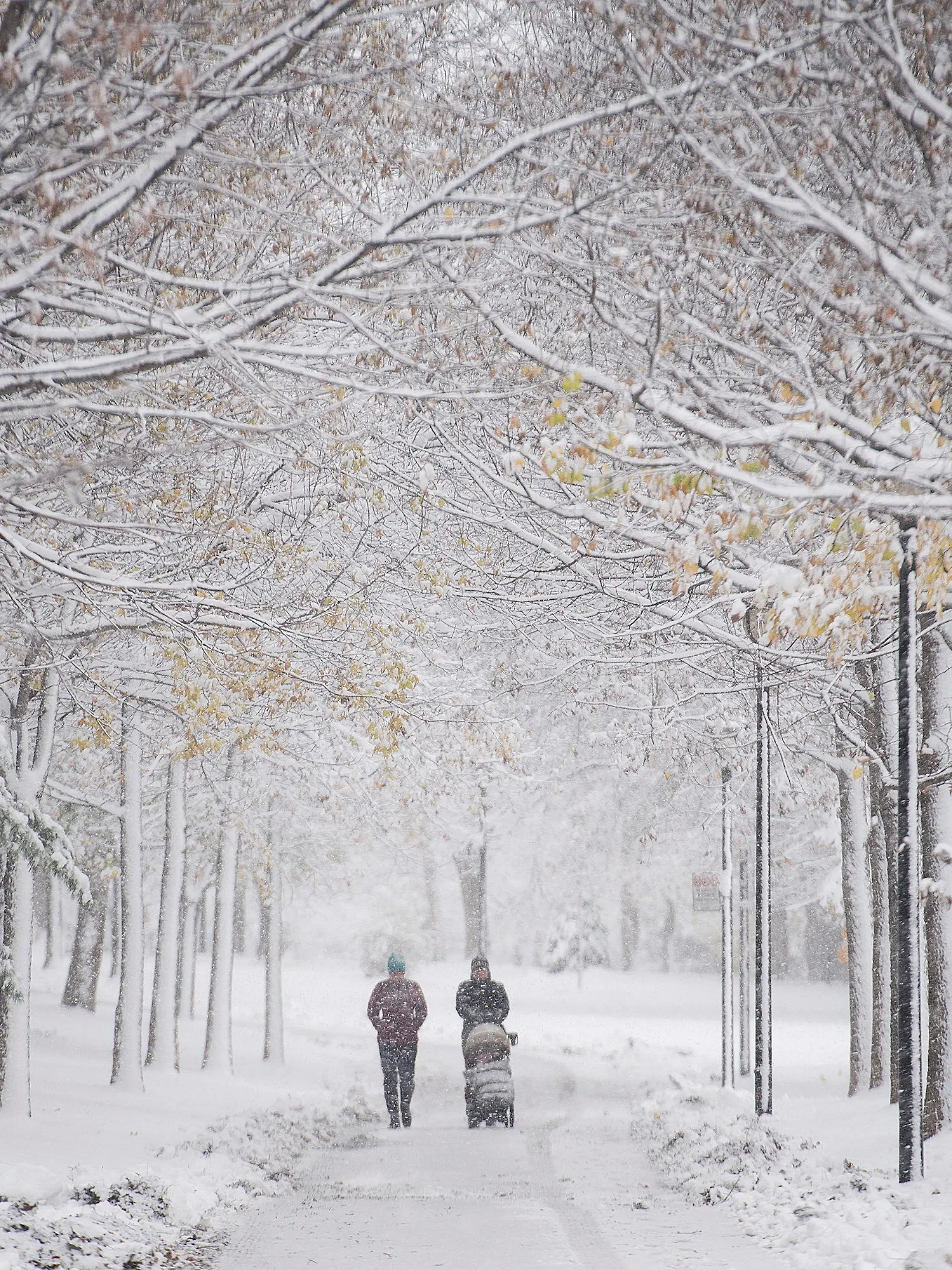 16.11.2022, Kanada, Montreal: Menschen gehen nach dem ersten Schneefall mit einem Kinderwagen durch einen schneebedeckten Park spazieren. Foto: Graham Hughes/Canadian Press via ZUMA Press/dpa +++ dpa-Bildfunk +++
