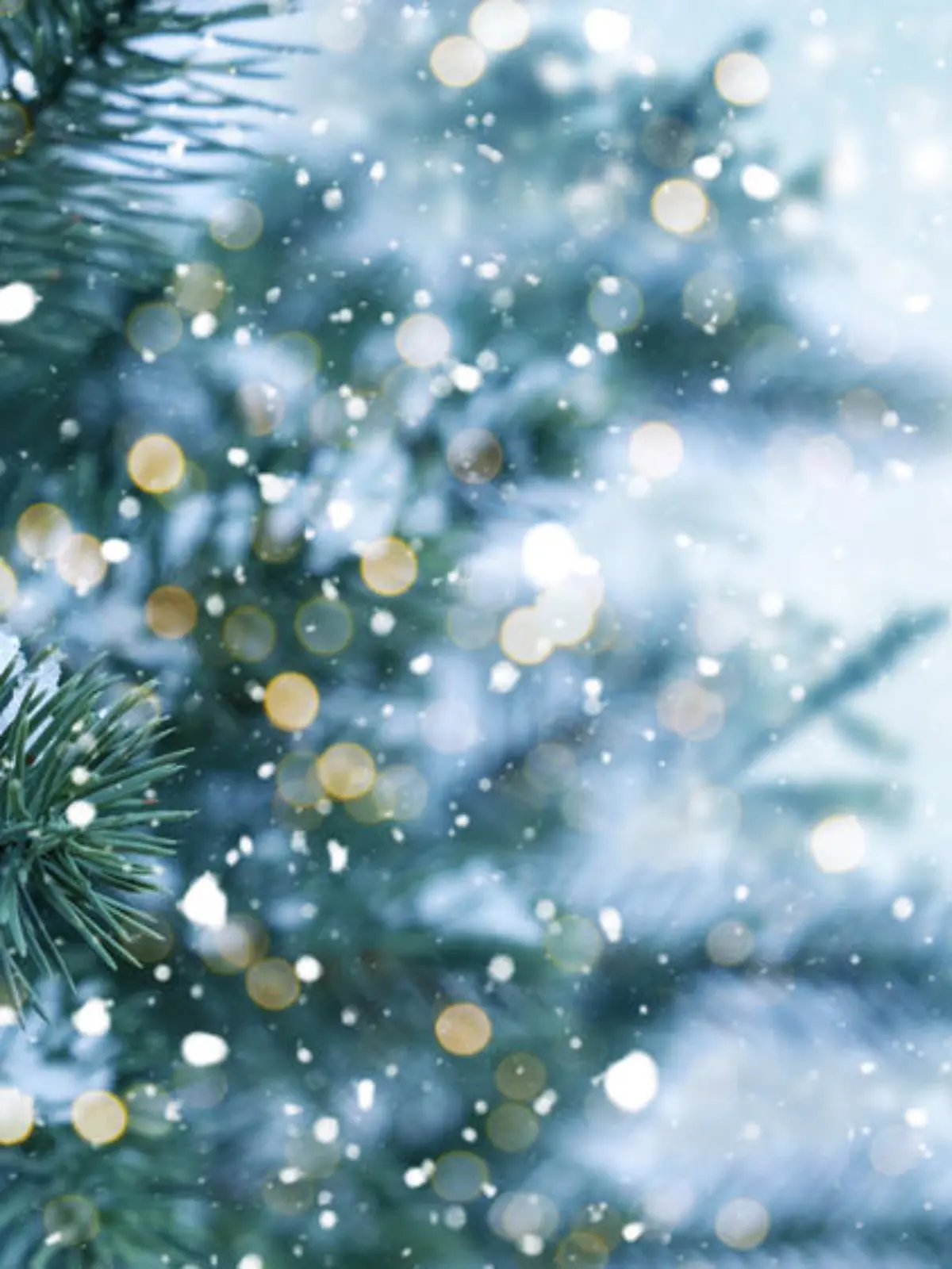 Der erste Schnee ist da: Wie stehen die Chancen auf weiße Weihnachten?