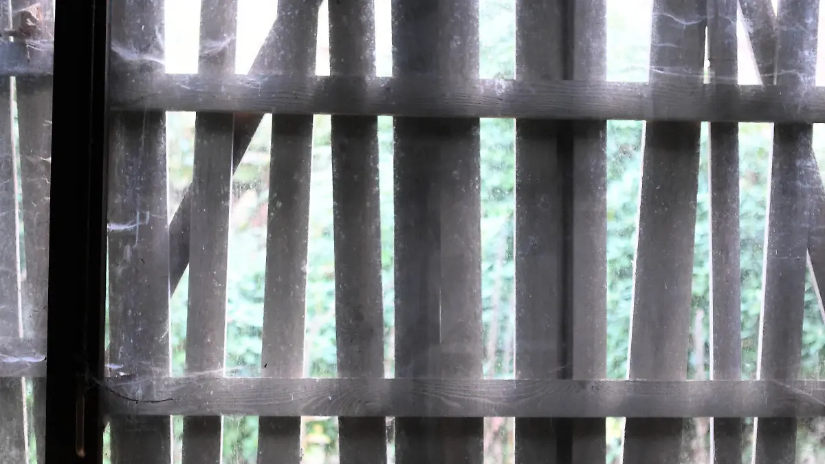 13.11.2020, Baden-Württemberg, Freudenstadt: In einem Zimmer des ehemaligen Grandhotel Waldlust, das zu den sogenannten Lost Places gehört, ist ein Fenster von aussen mit Brettern verriegelt. (zu dpa «Im Verborgenen» - Auf der Suche nach Lost Places im Südwesten") Foto: Uli Deck/dpa +++ dpa-Bildfunk +++