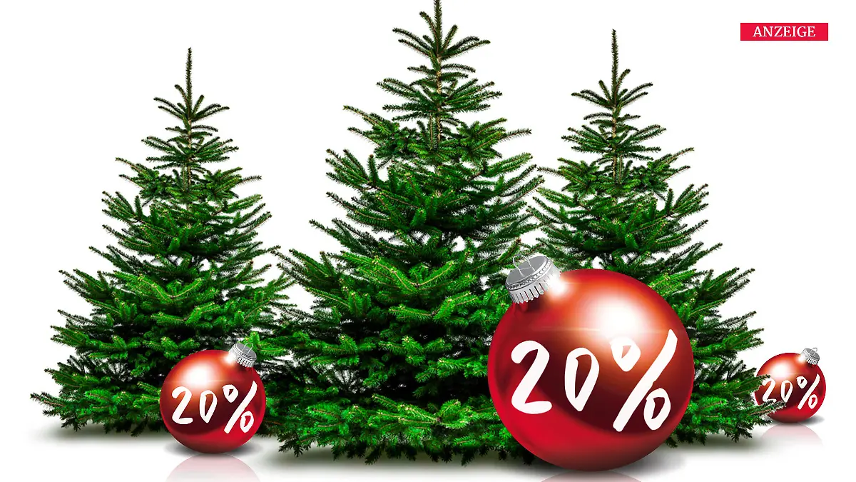 Weihnachtsbäume günstiger kaufen