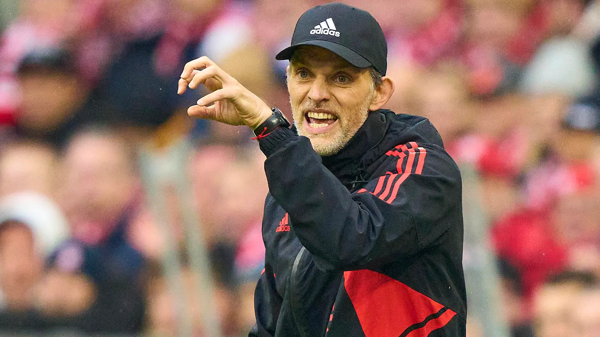 Trainer Thomas Tuchel FCB, team manager, headcoach, coach, geste in the match FC BAYERN MUENCHEN - TSG 1899 HOFFENHEIM 1.German Football League on Apr 15, 2023 in Munich, Germany. Season 2022/2023, matchday 28, 1.Bundesliga, FCB, BVB, München, 28.Spieltag.