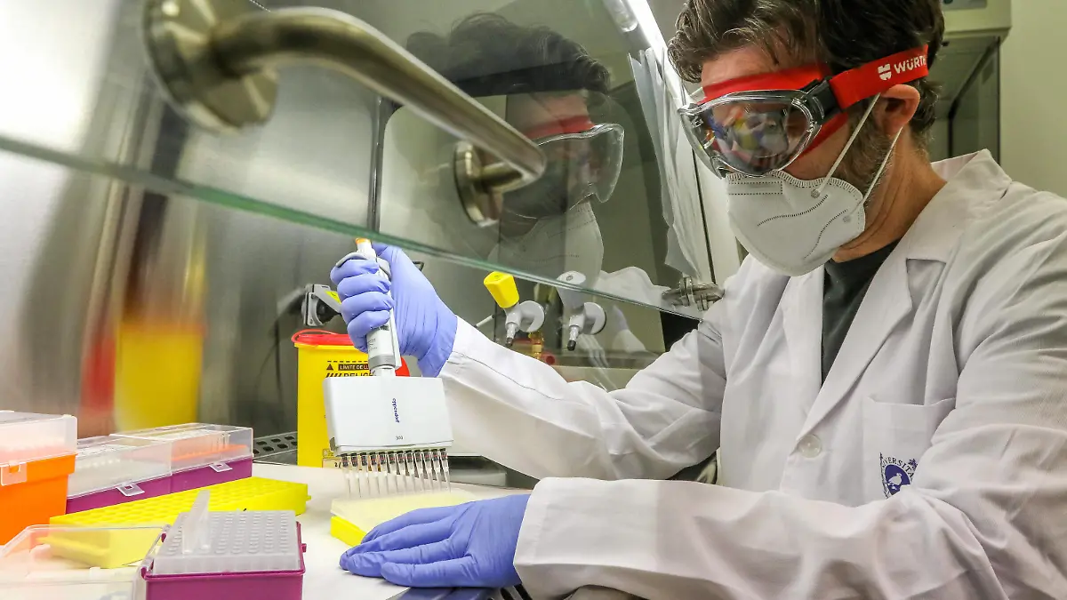 November 16, 2020: November 16, 2020 Malaga The University of Malaga offers to Health a laboratory that can make 400 PCR daily. The laboratory is located in the Bioinnovation building of the Technological Park of Andalusia. Its activity could start as soon as necessary and will form part of its scientific and technical staff of the AMU. In these facilities serological tests, the extraction of RNA from the virus and its detection by PCR will be carried out. To this end, the AMU has the necessary equipment and infrastructure. With regard to the performance of the Covid-19 tests, their amount, their periodicity and the population to which they will be directed will be determined when their activity becomes concrete and begins. - ZUMAc161 20201116_zap_c161_014 Copyright: xLorenzoxCarnerox
