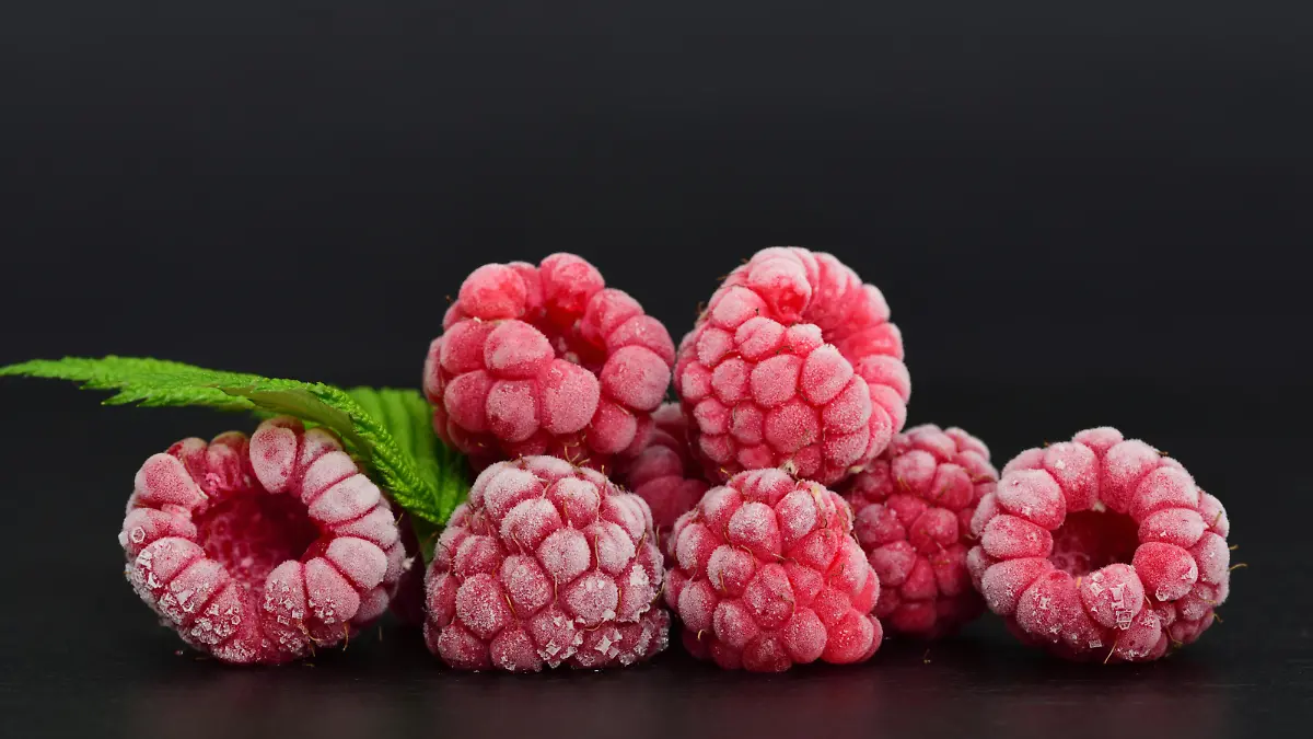 Nahaufnahme Himbeeren mit Kälte-Reif