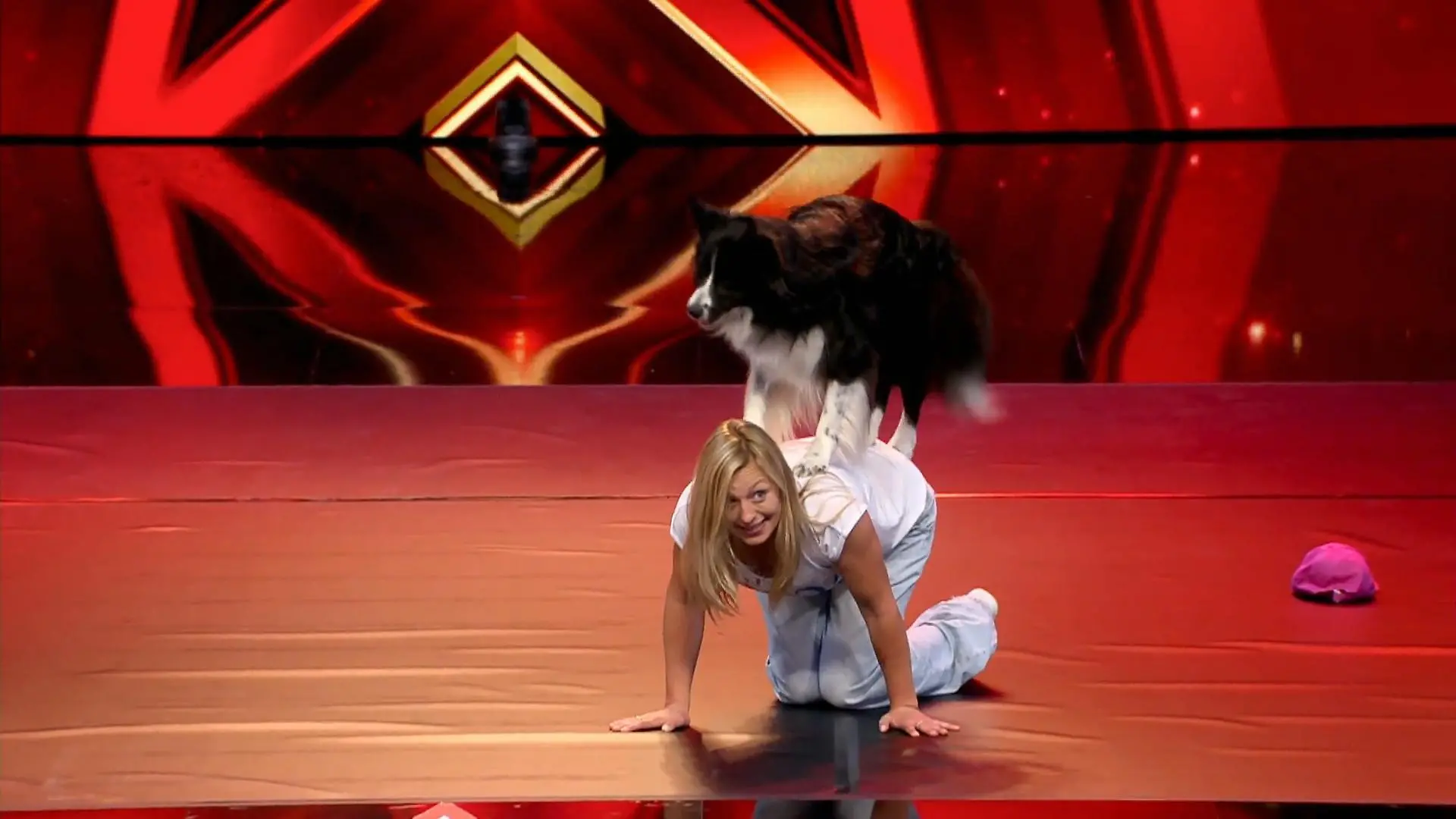 Melanie und Border Collie Ayden überzeugen wirklich alle Bruce wollte eigentlich keine Hunde mehr
