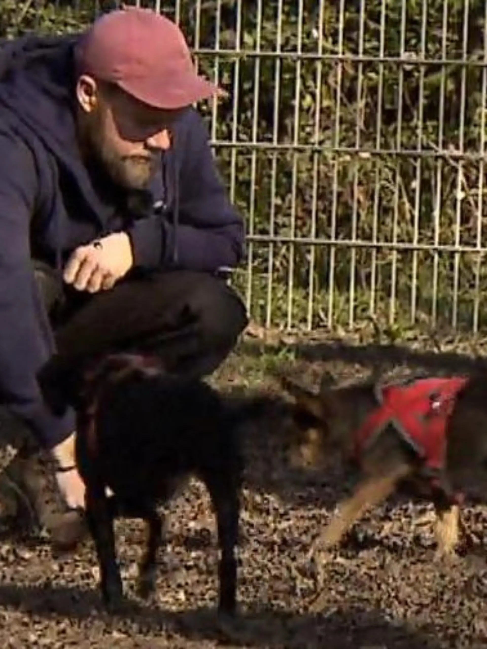 Bild zu: "Beste Hundefreunde suchen neues Heim"