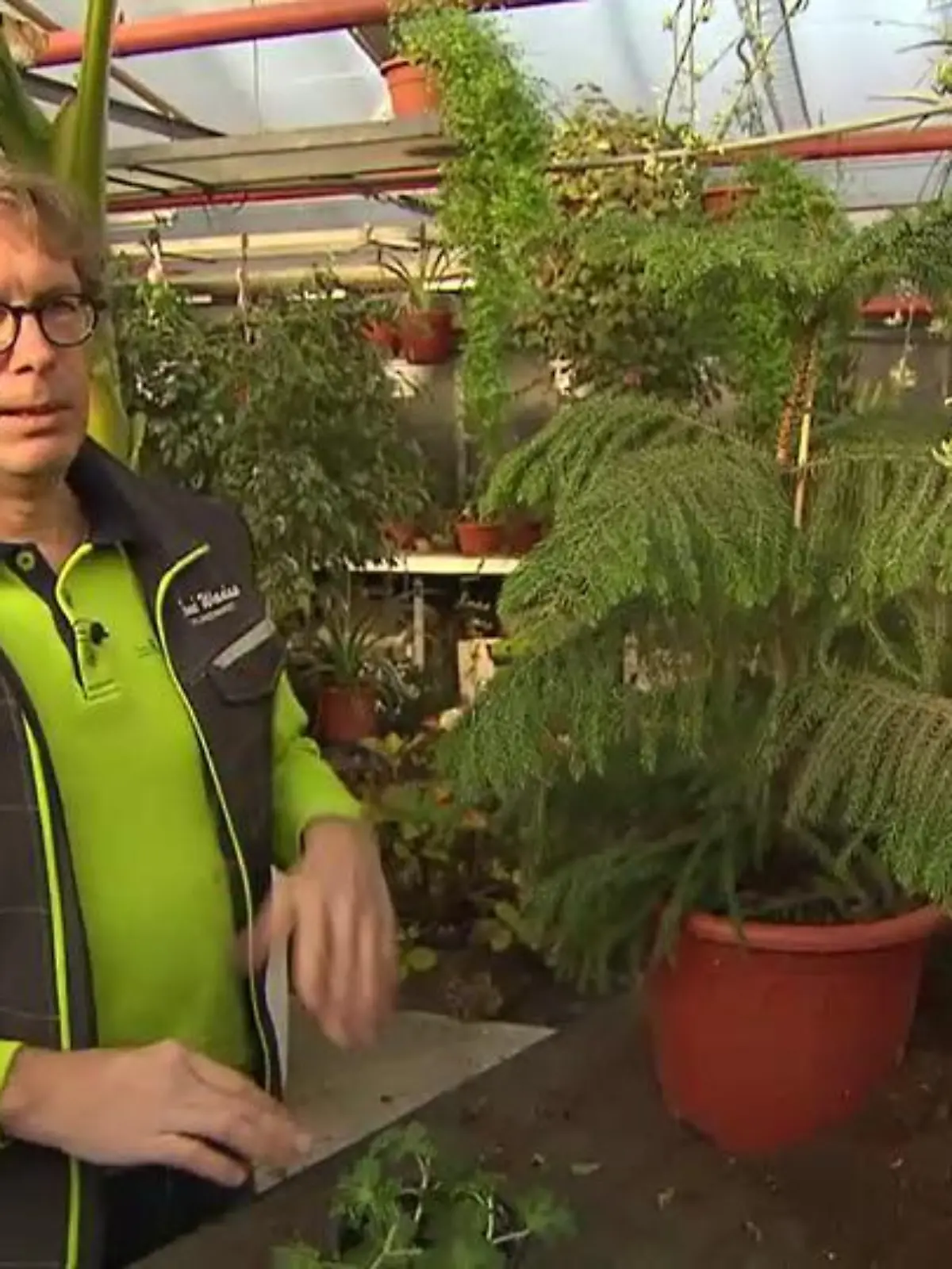René Wadas neben einer betroffenen Pflanze